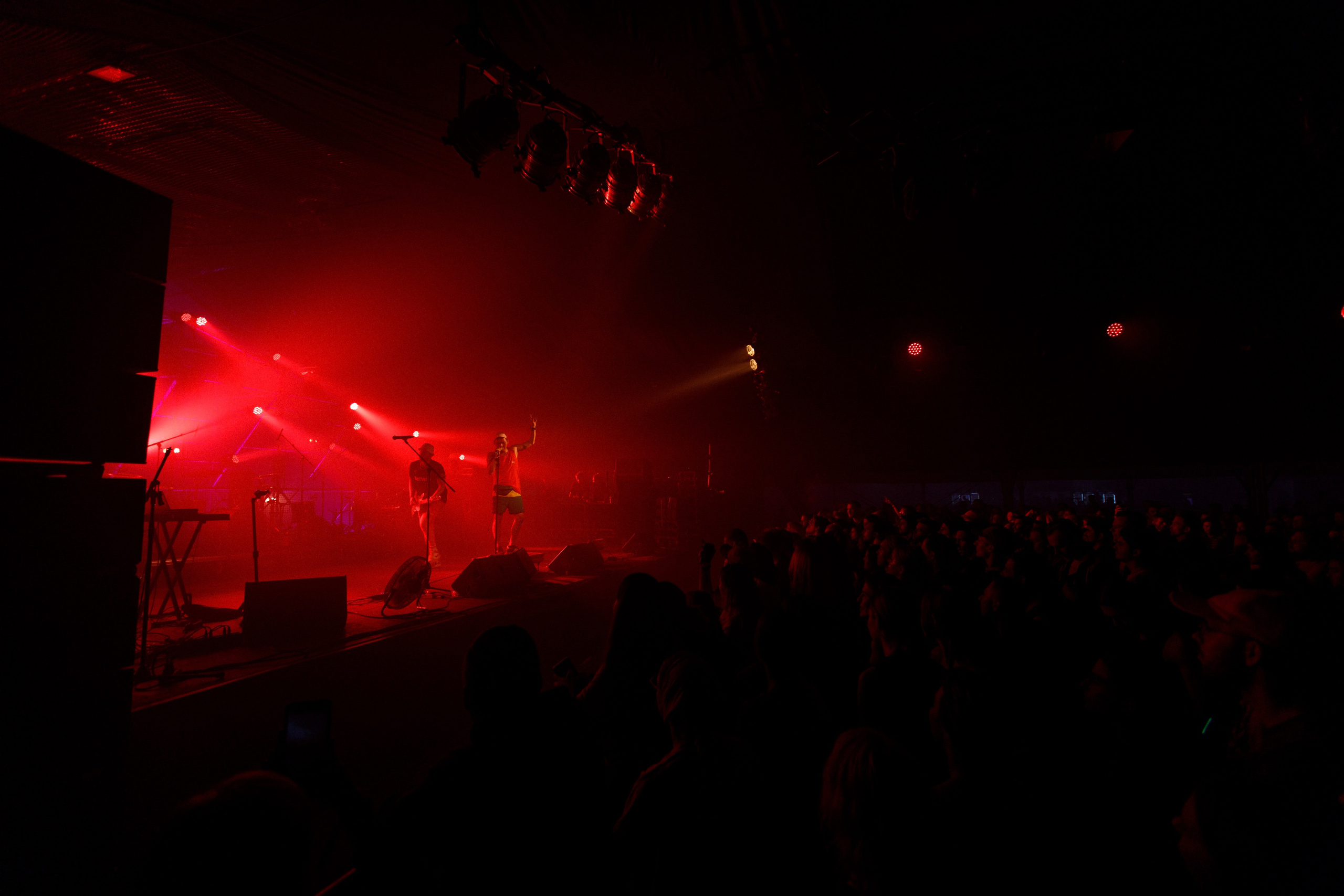 Performance of Puppies at Wild Mint Violet 2022. Commercial photographer | Anton Ermakov