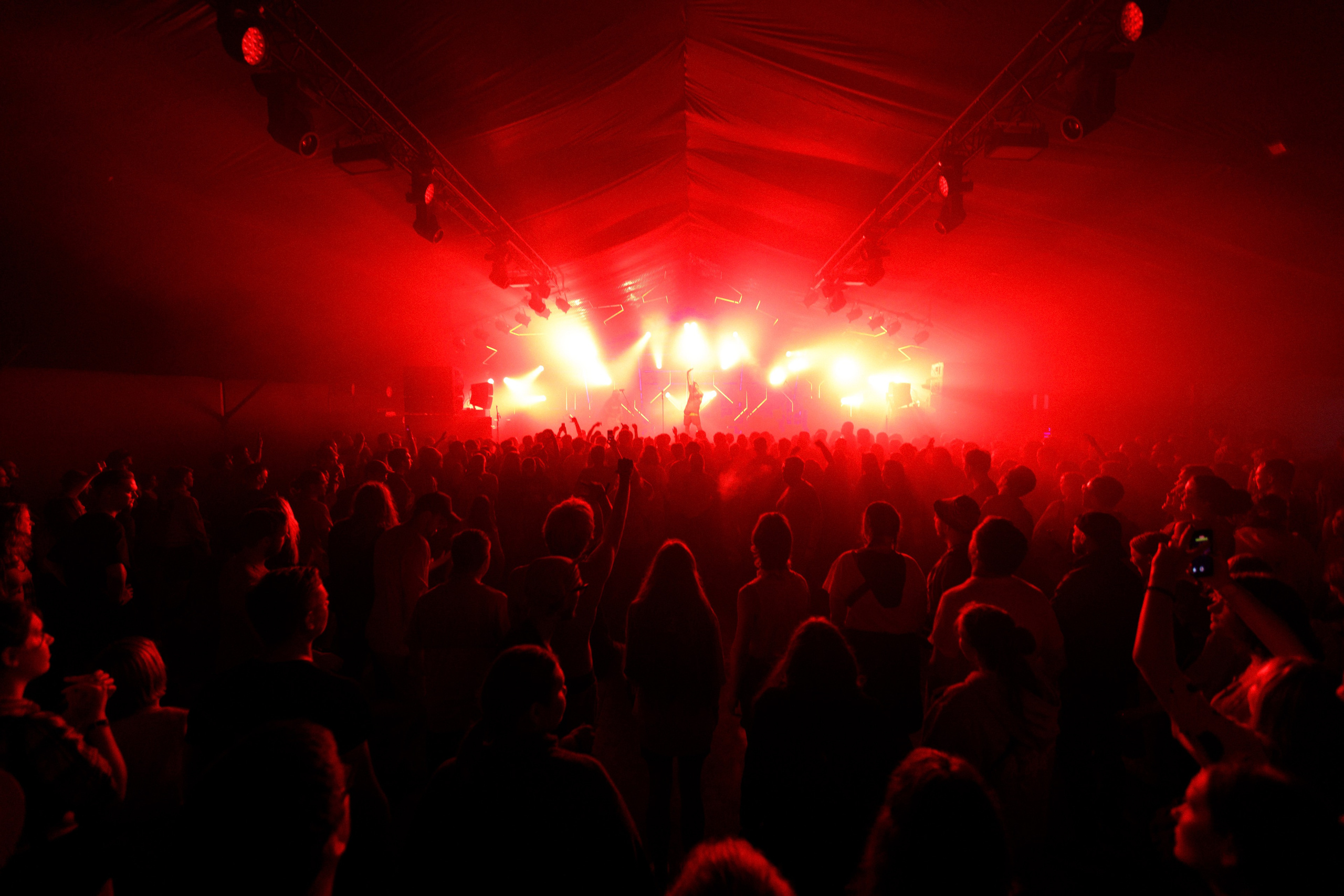 Performance of Puppies at Wild Mint Violet 2022. Commercial photographer | Anton Ermakov