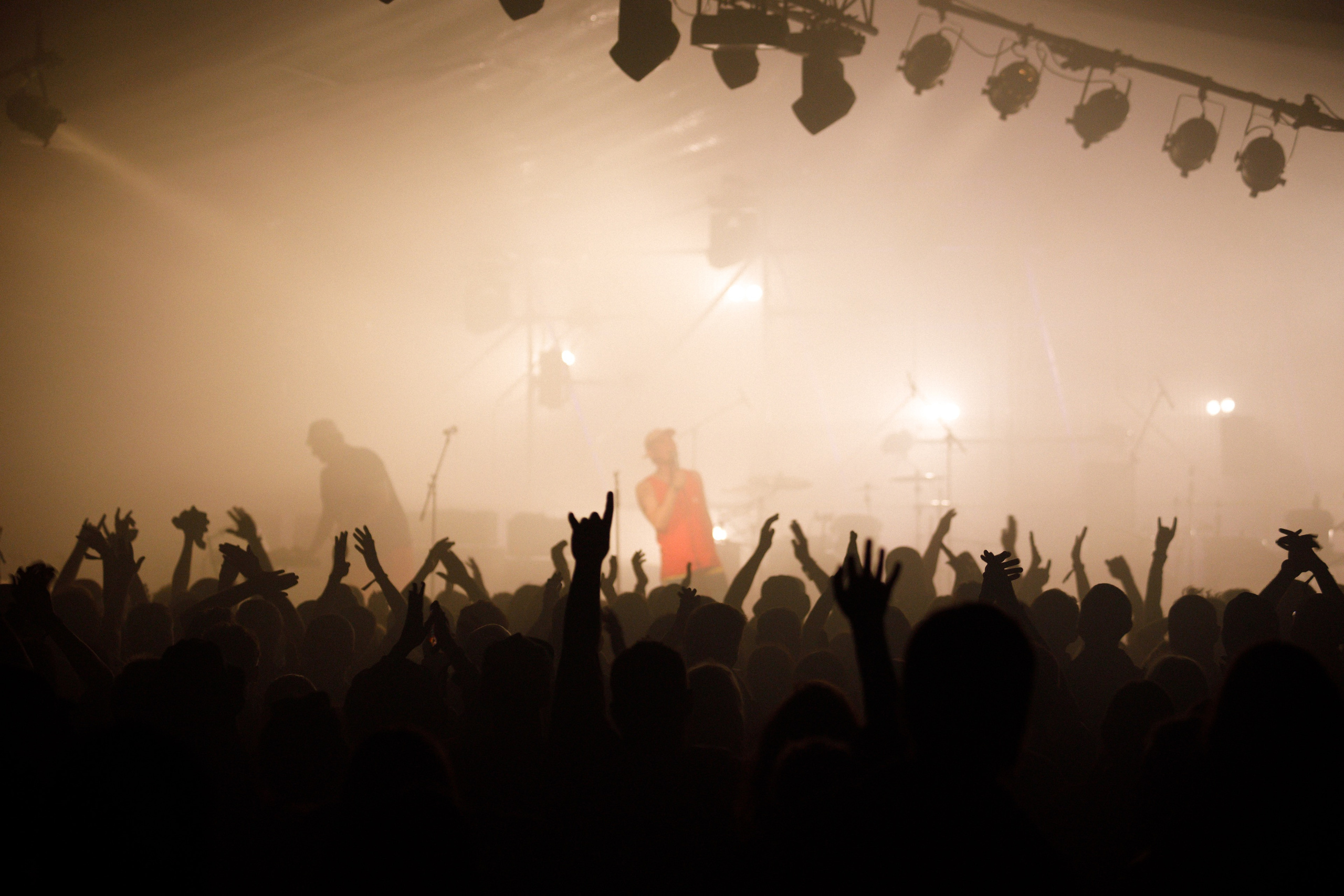 Performance of Puppies at Wild Mint Violet 2022. Commercial photographer | Anton Ermakov