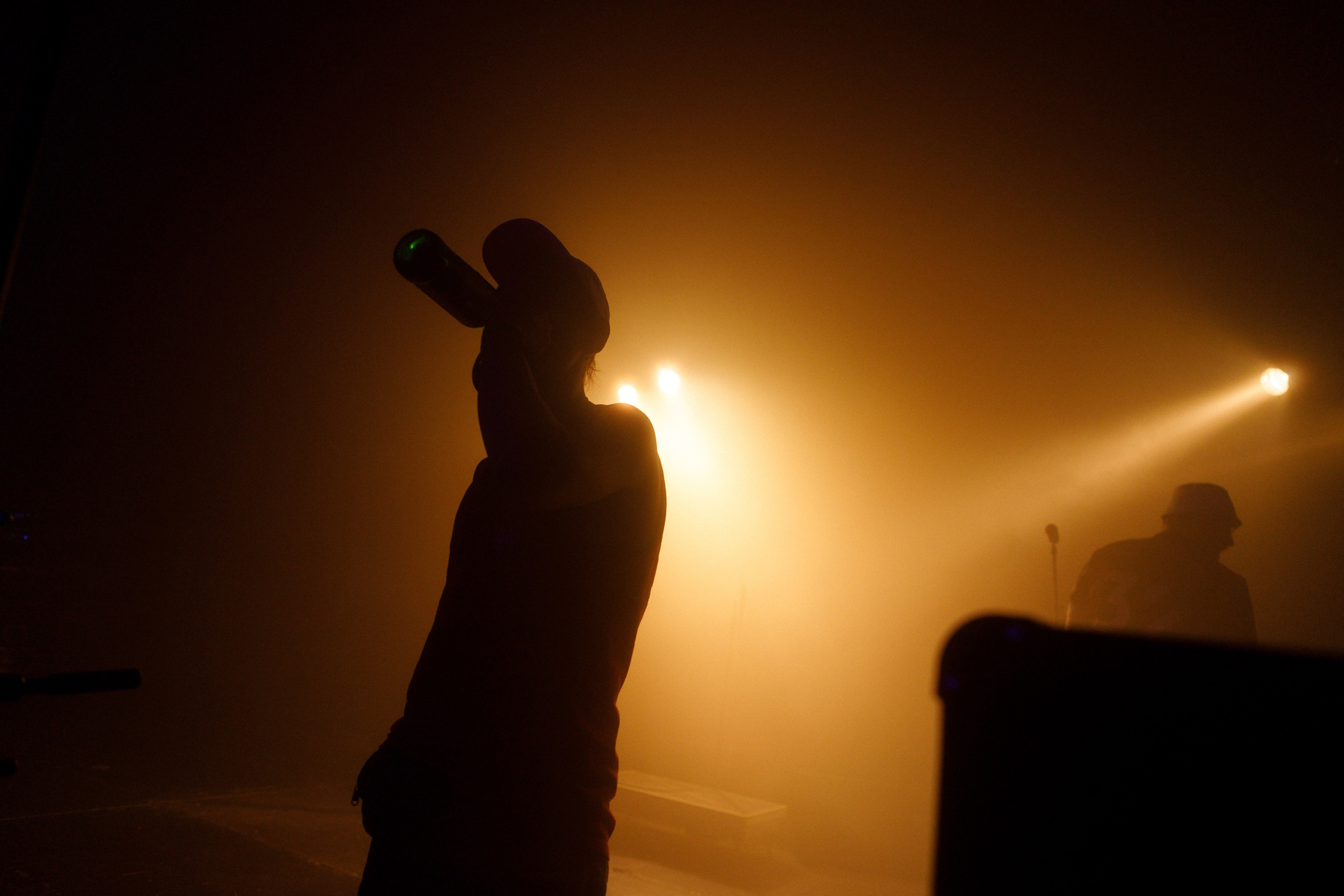 Performance of Puppies at Wild Mint Violet 2022. Commercial photographer | Anton Ermakov