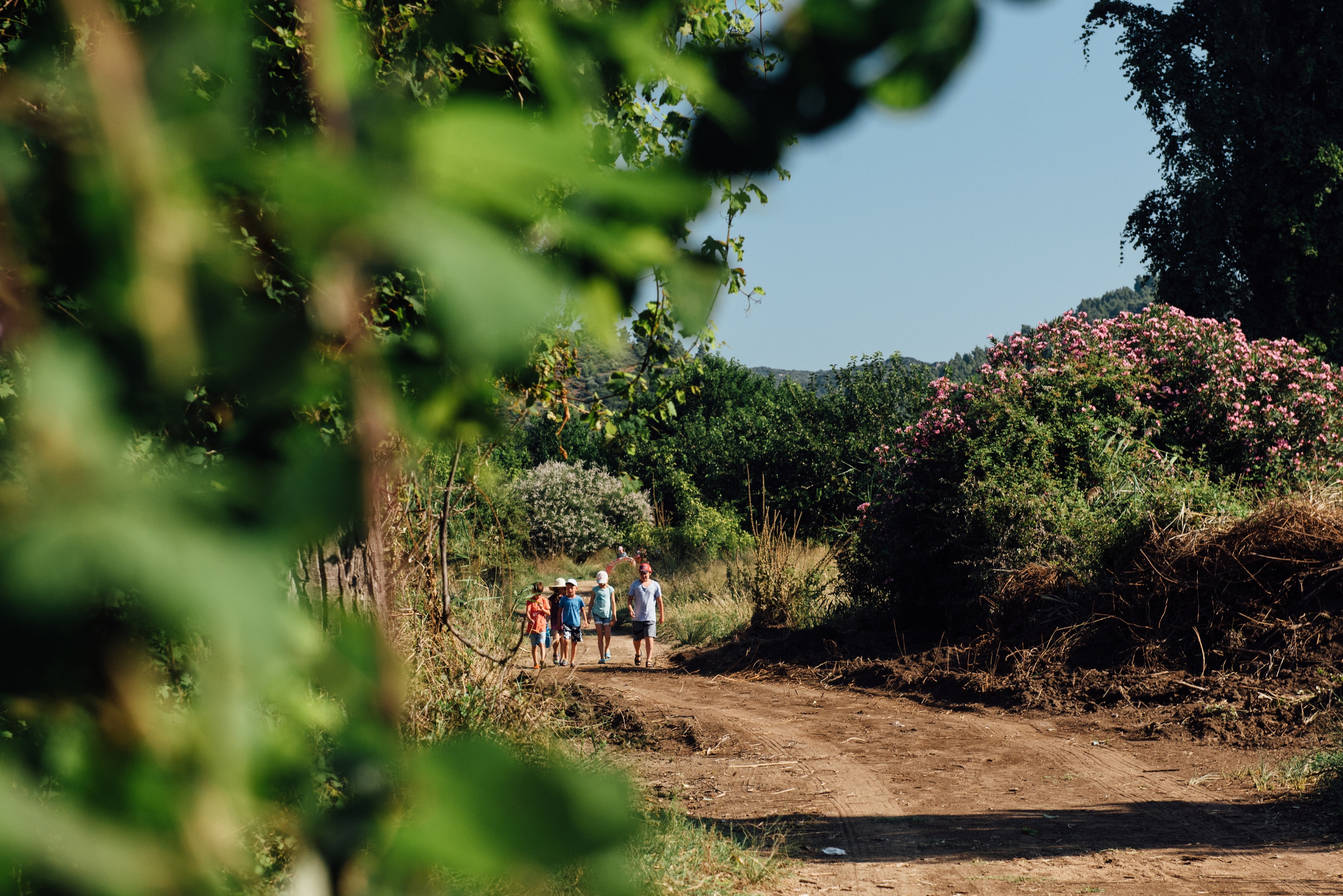 Children's camp in Greece. Commercial photographer | Anton Ermakov