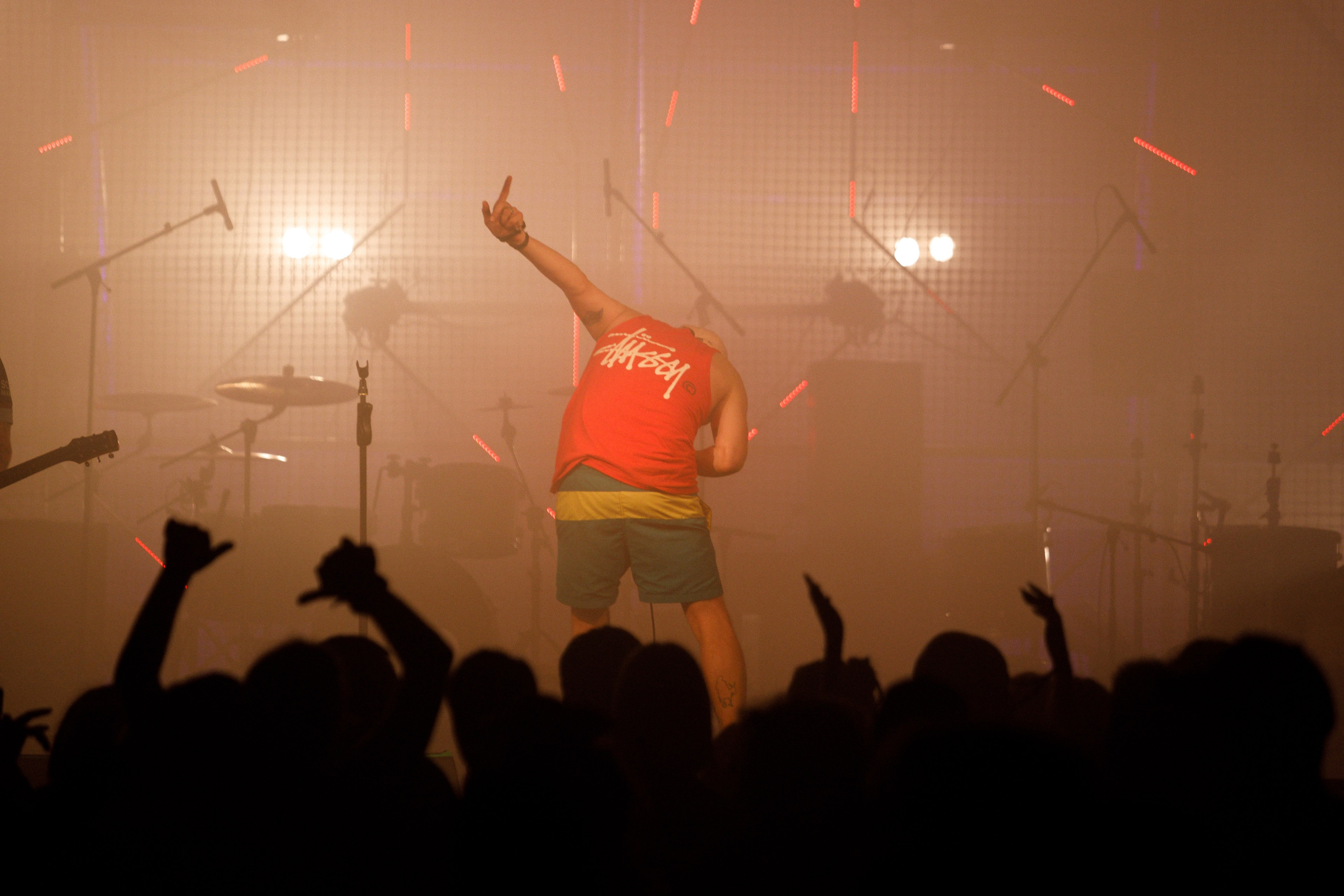 Performance of Puppies at Wild Mint Violet 2022. Commercial photographer | Anton Ermakov