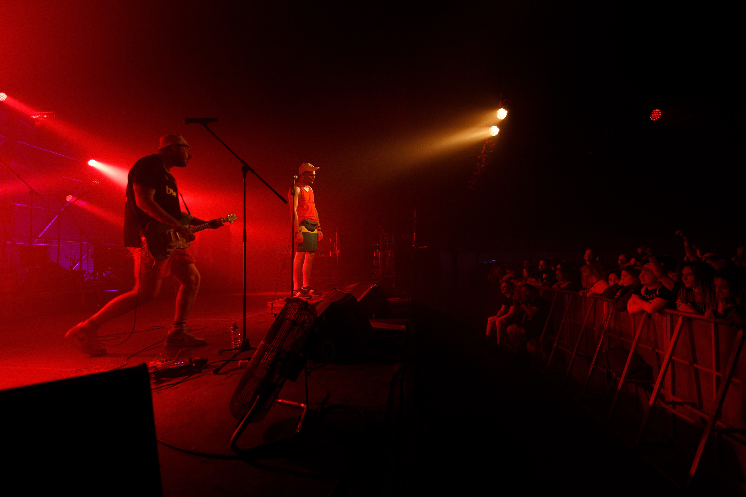 Performance of Puppies at Wild Mint Violet 2022. Commercial photographer | Anton Ermakov