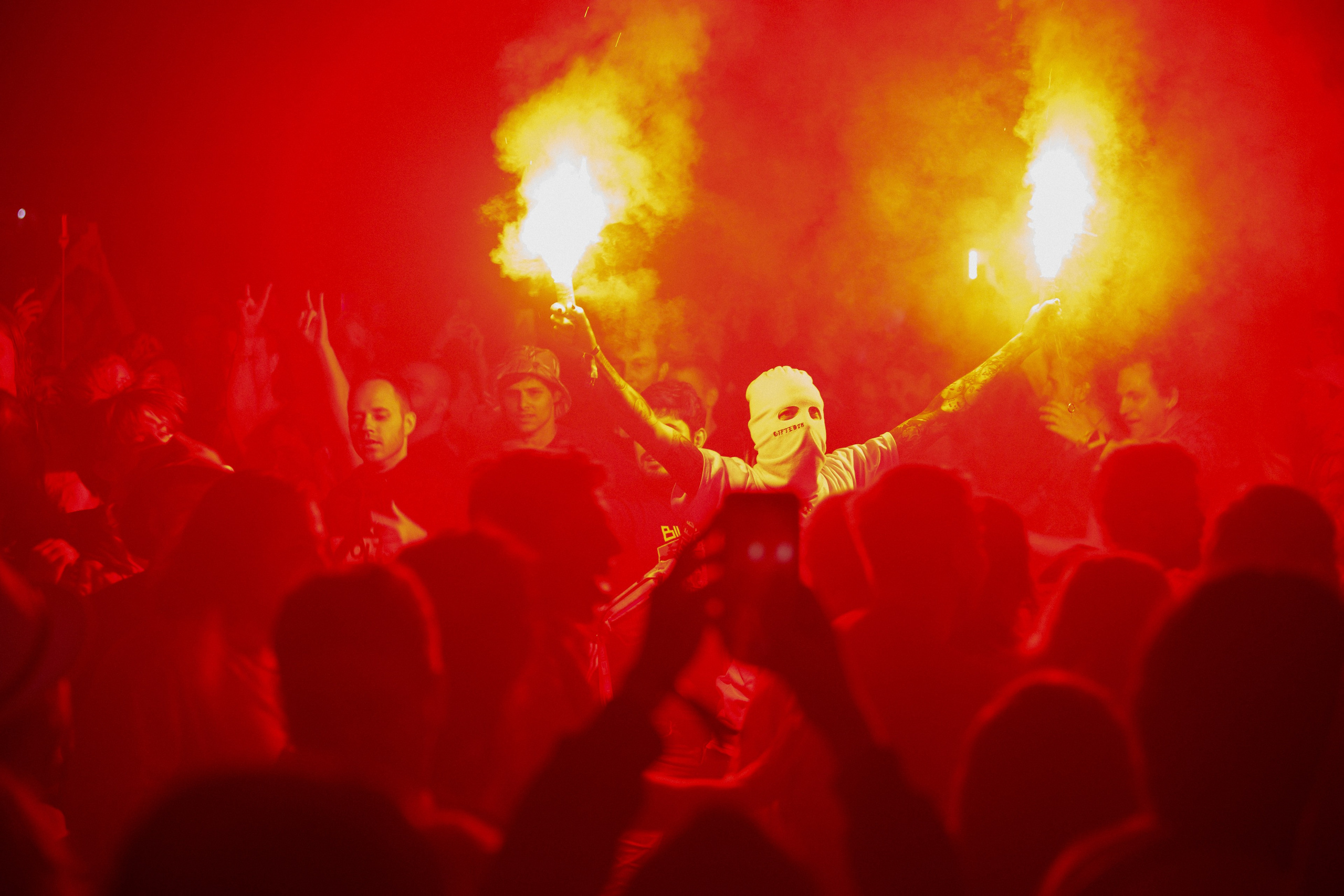 Performance of Puppies at Wild Mint Violet 2022. Commercial photographer | Anton Ermakov