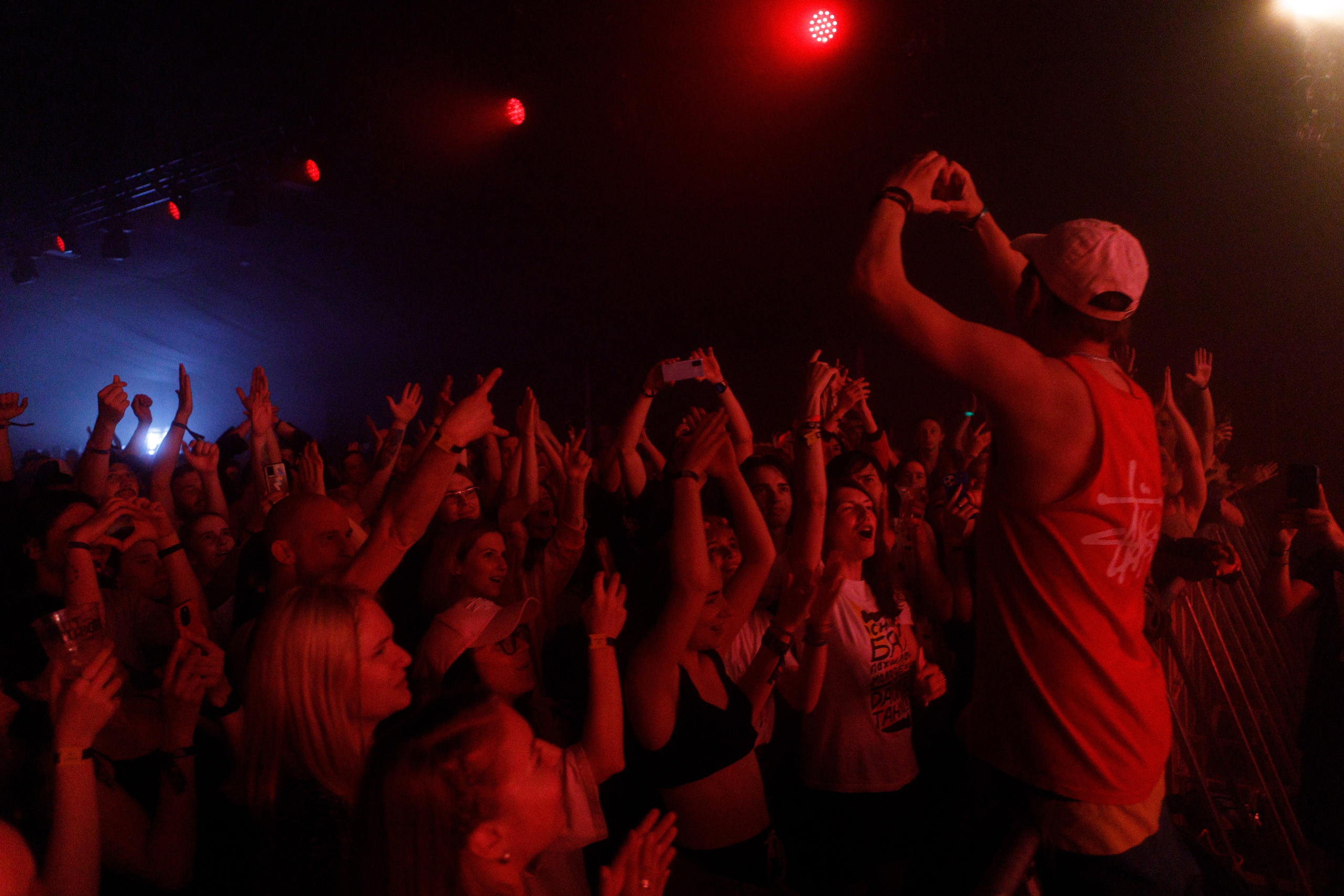 Performance of Puppies at Wild Mint Violet 2022. Commercial photographer | Anton Ermakov