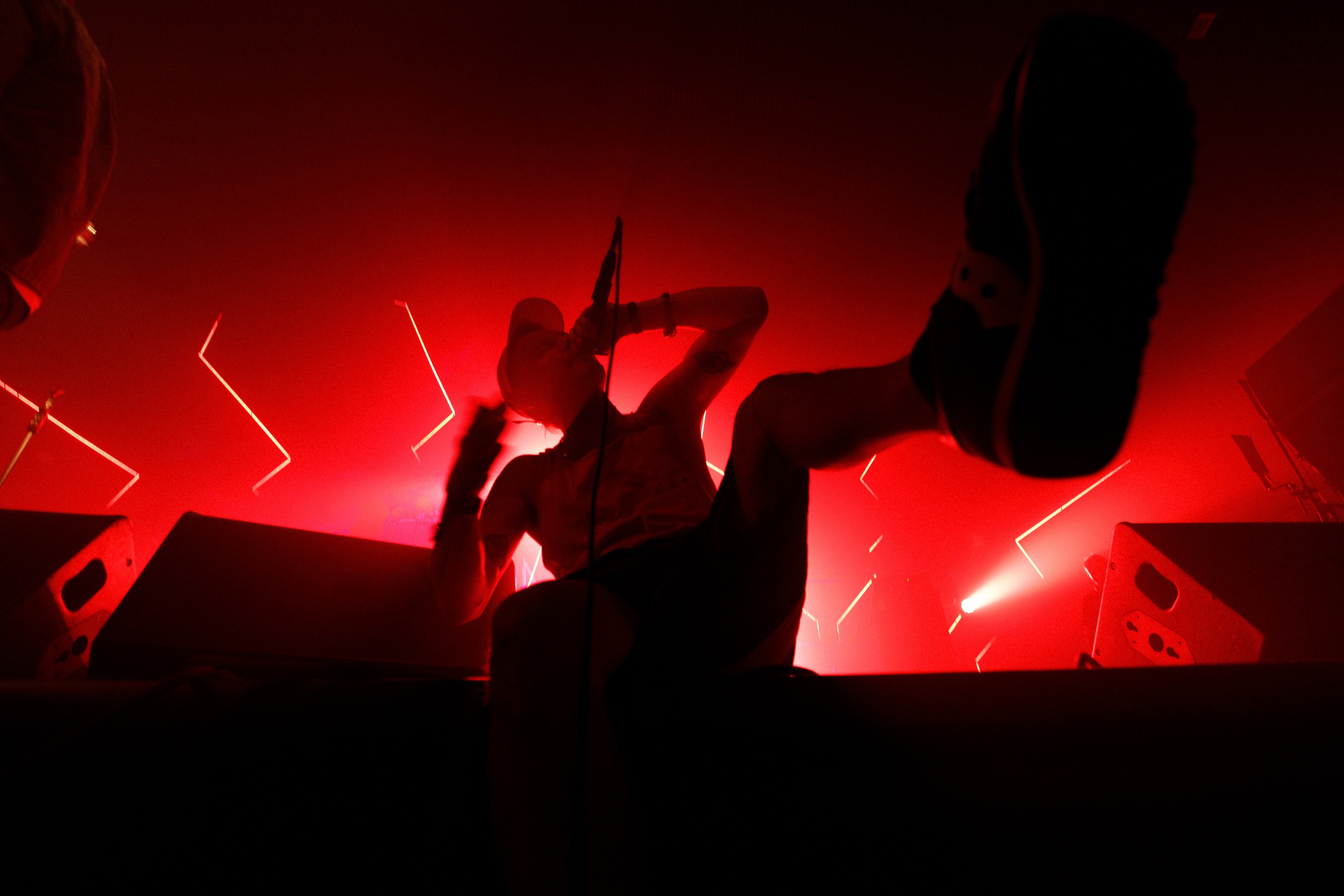 Performance of Puppies at Wild Mint Violet 2022. Commercial photographer | Anton Ermakov