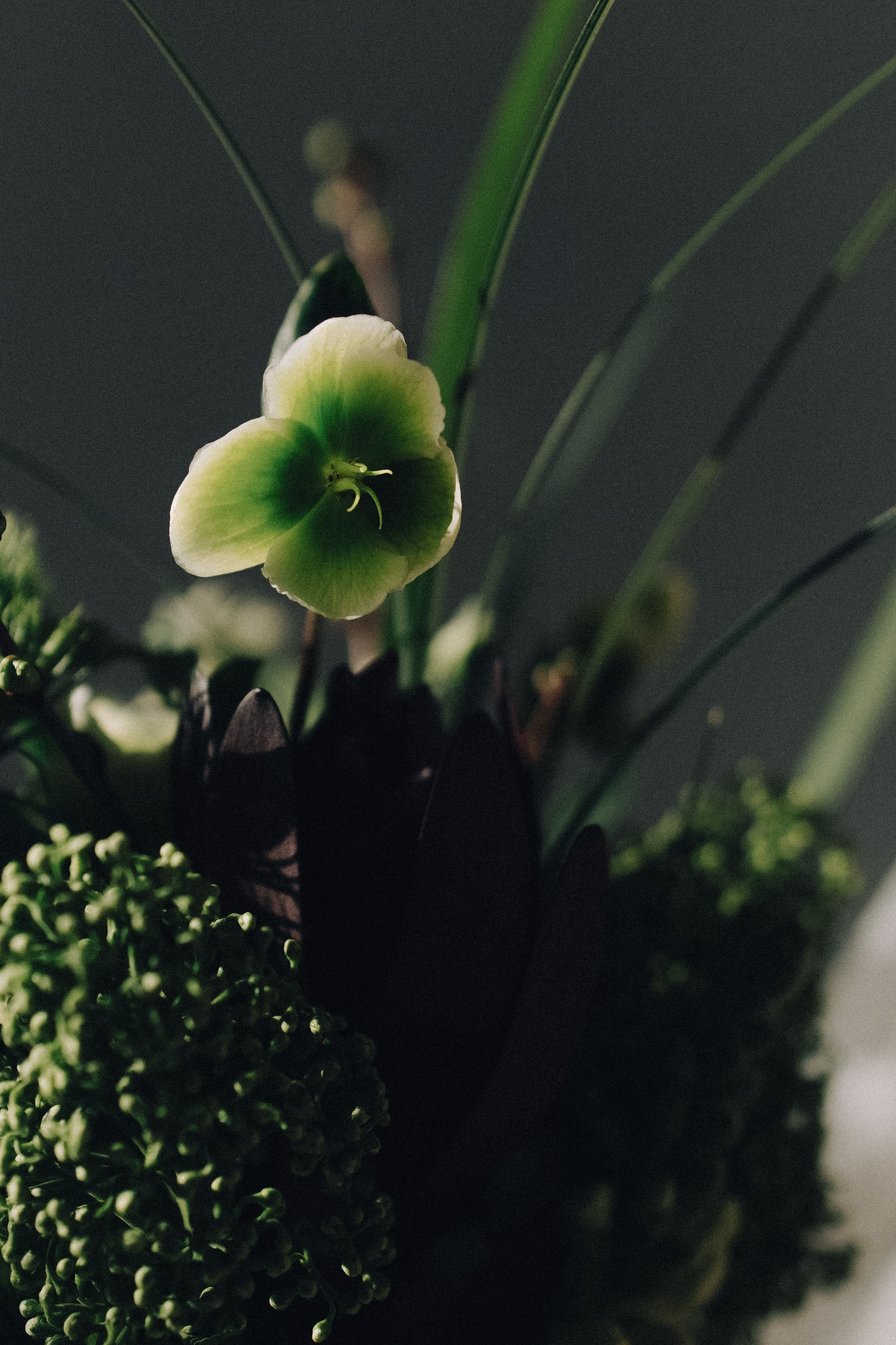 Там, где начинается «мы»