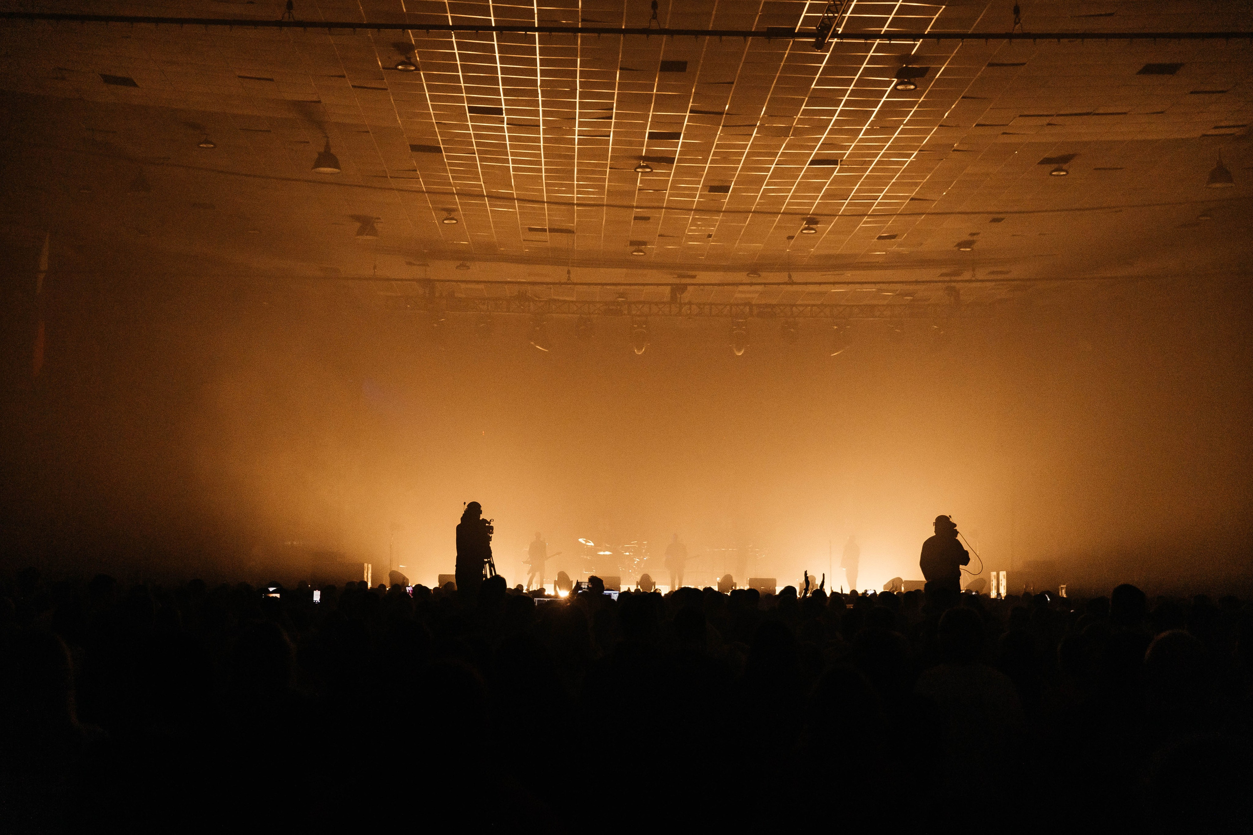 Звери. _Carpe diem_