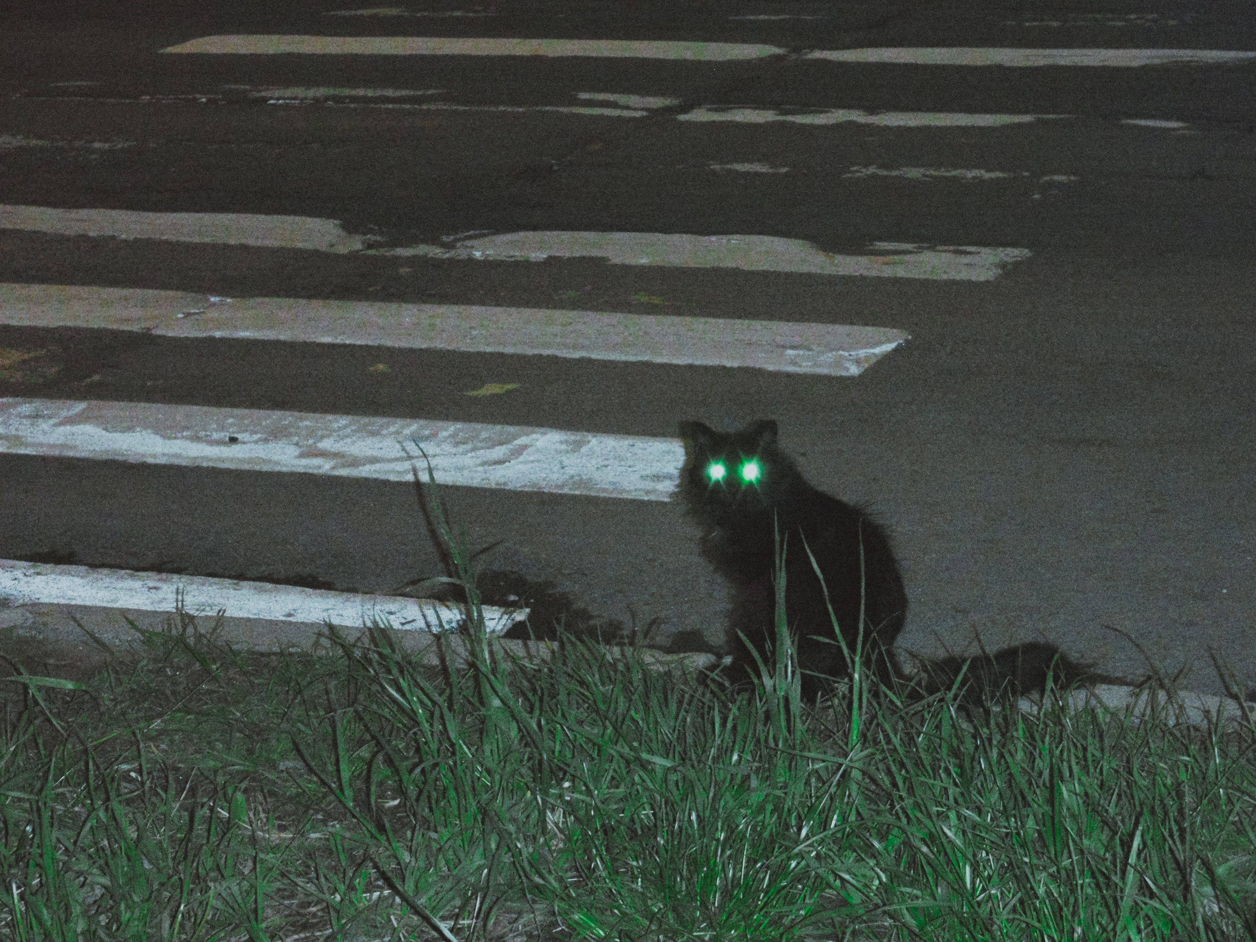 Olimpus mju 1030sw. Анна Мильч