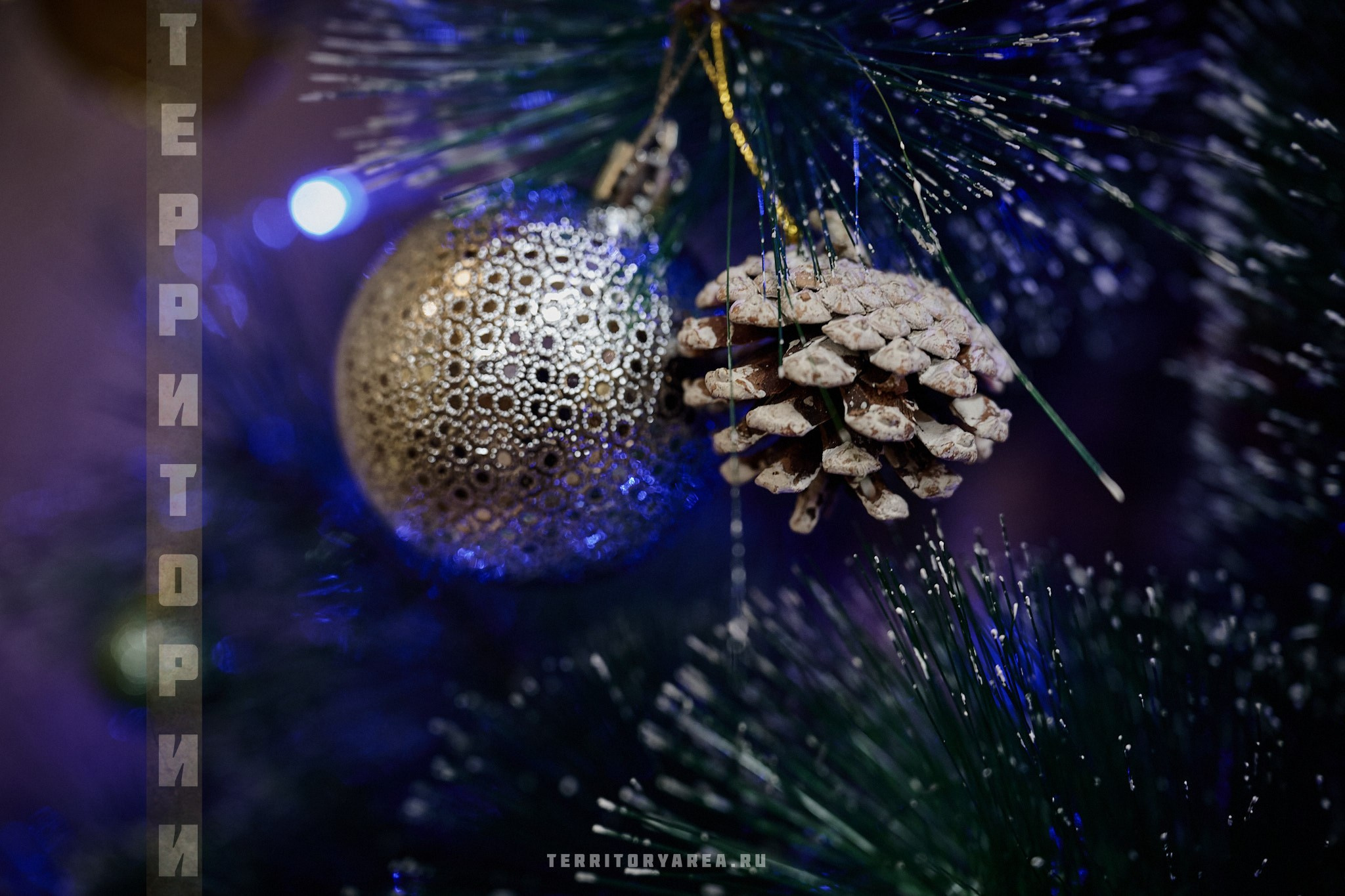 Открытки фотопроекта «Территории». Фотопроект «Территории»