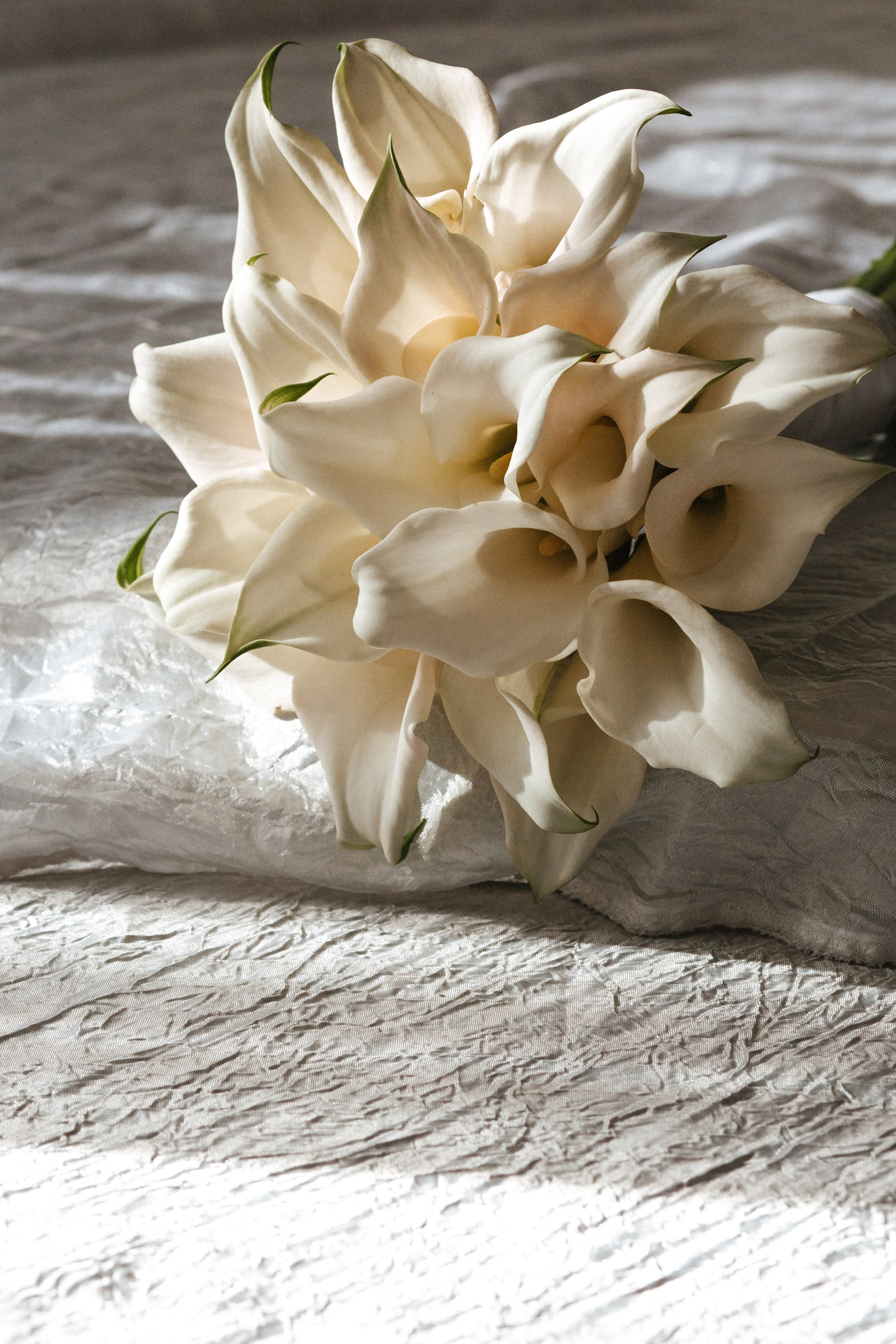 Сергей и Алена. Фотограф в Волгограде и Москве | Анастасия Лаврова