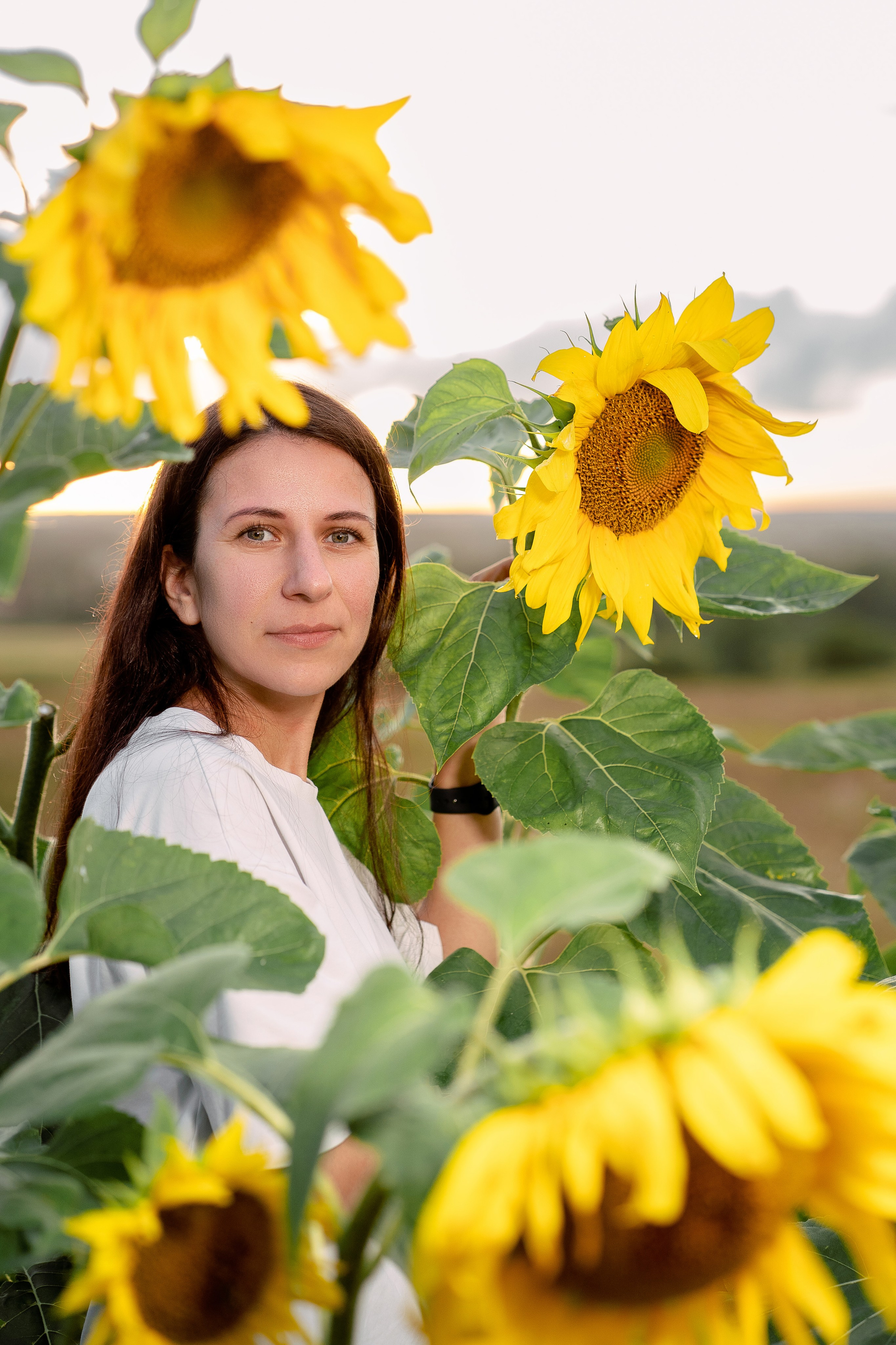 Подсолнухи. Семейный и детский фотограф в Санкт-Петербурге