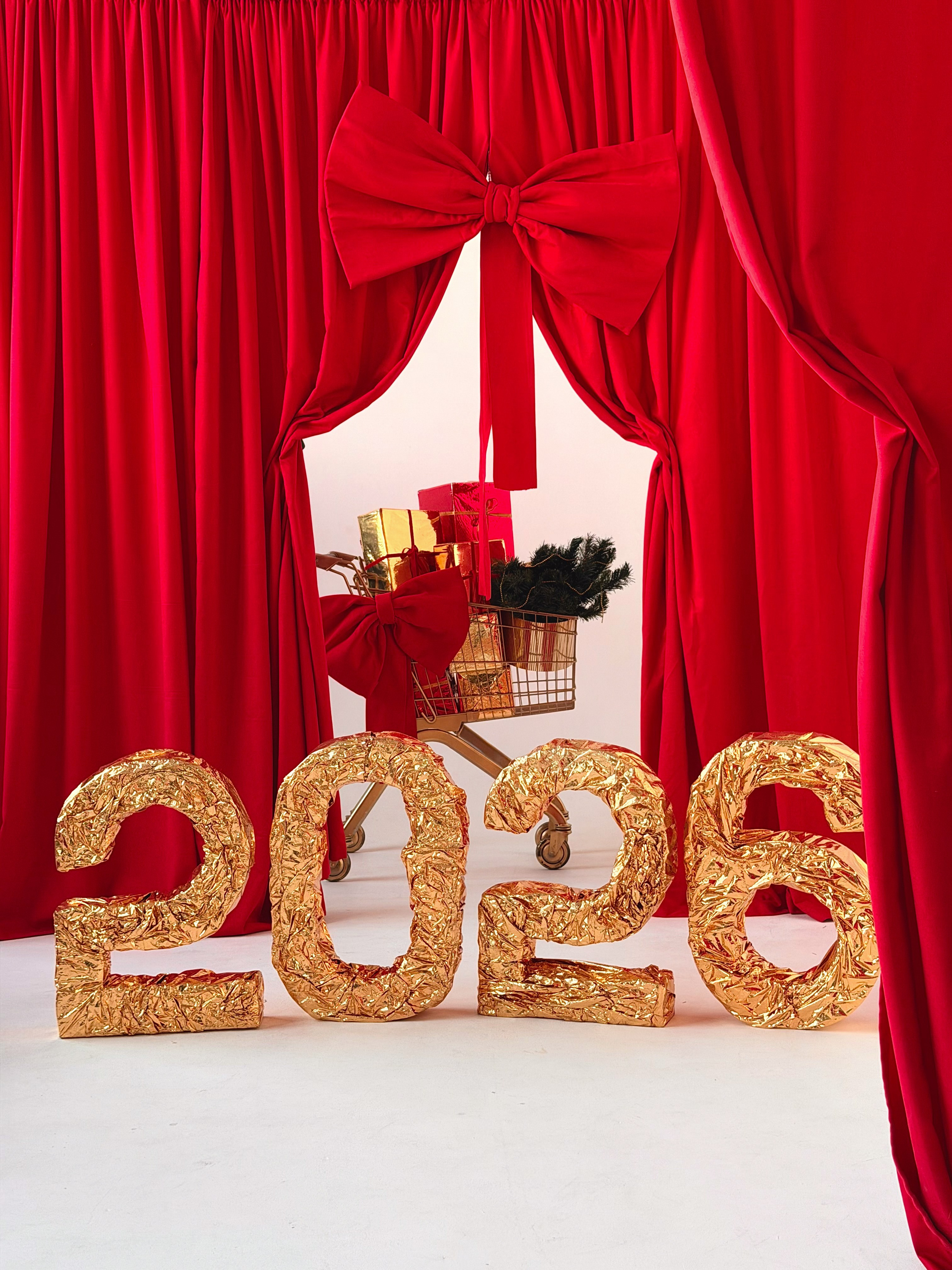 Зал LIGHT * NY 2026. Фотостудия Элис