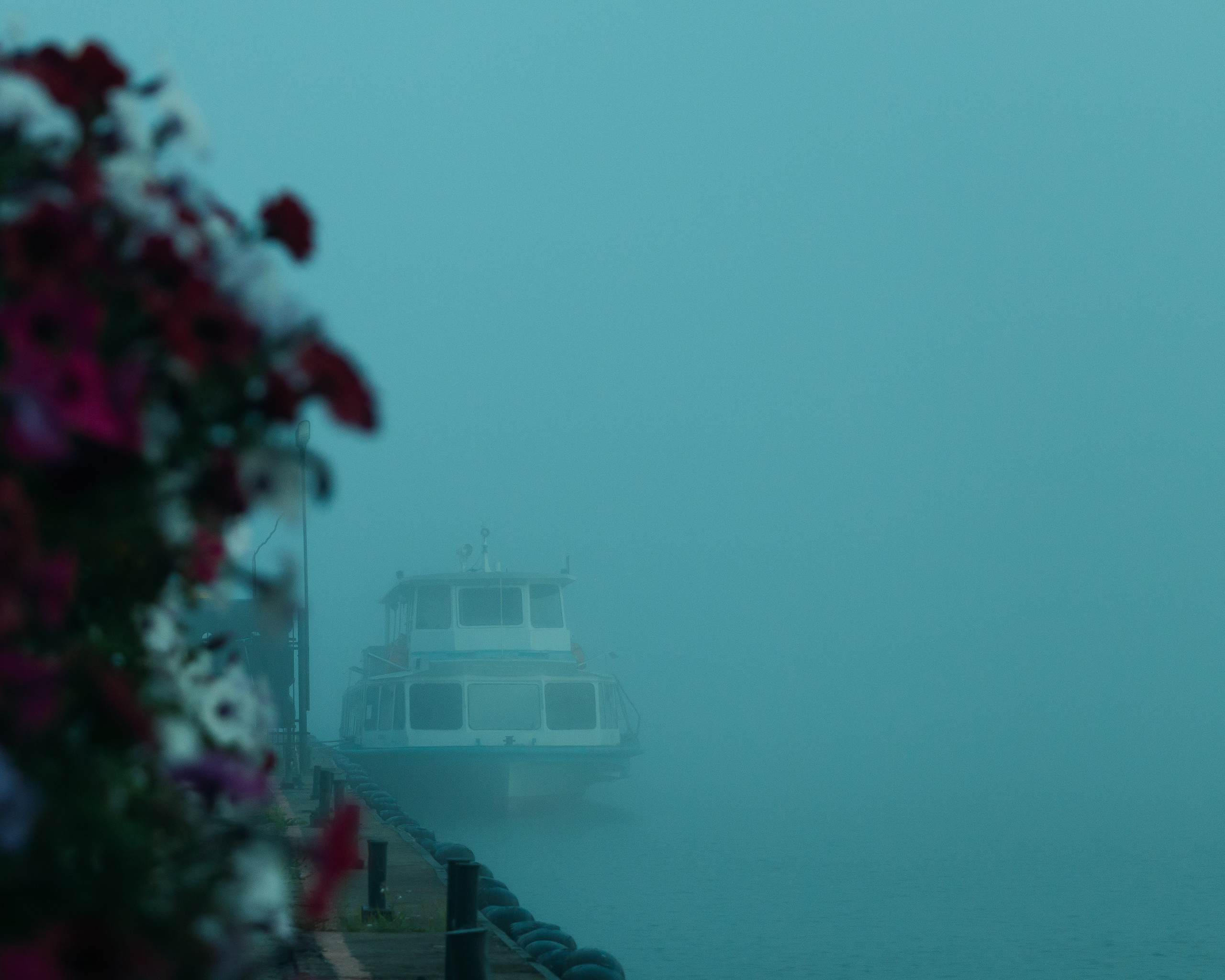 Стрит фото. Олег Романов. Мастер фото по спорту