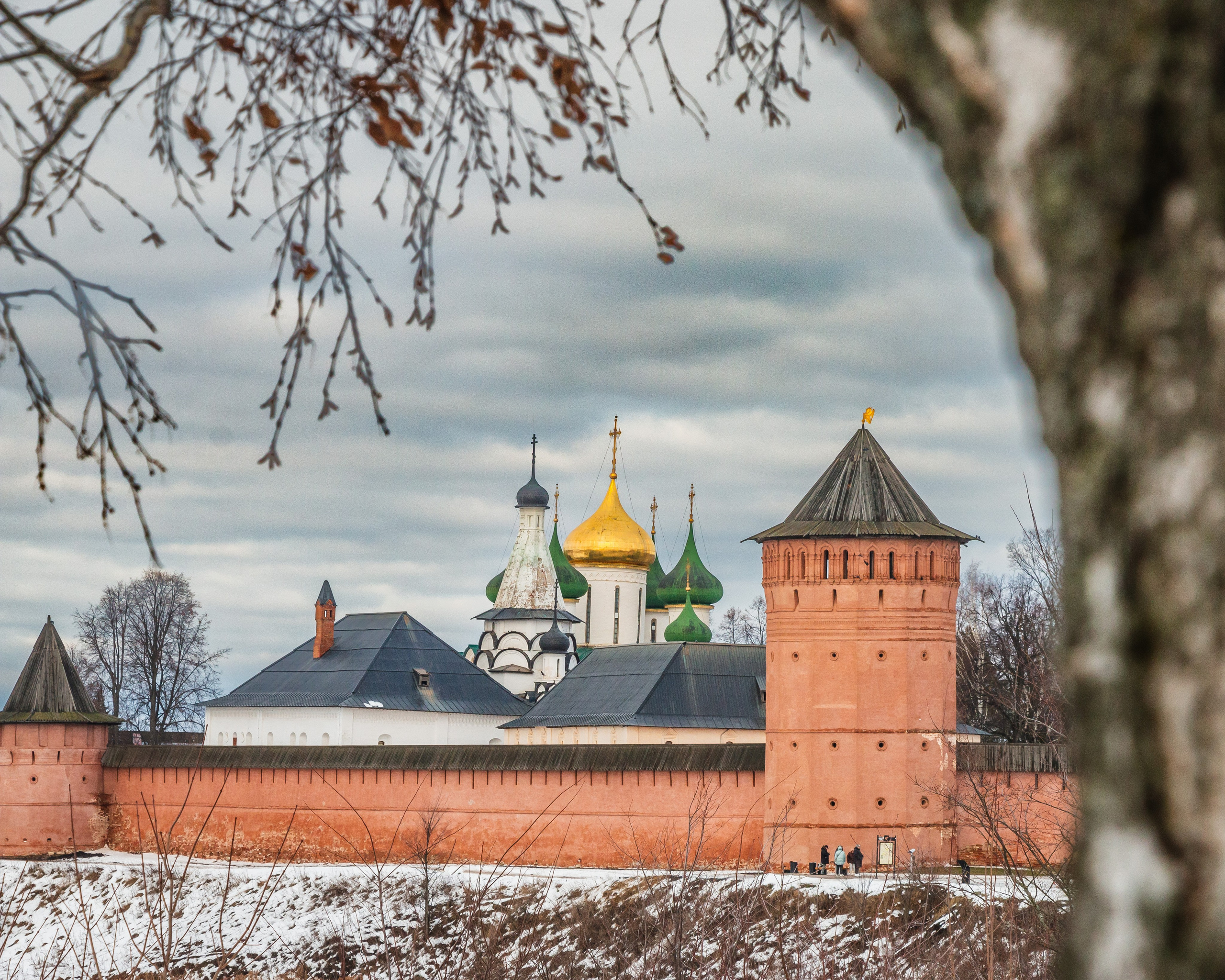 Суздаль. Олег Романов. Мастер фото по спорту
