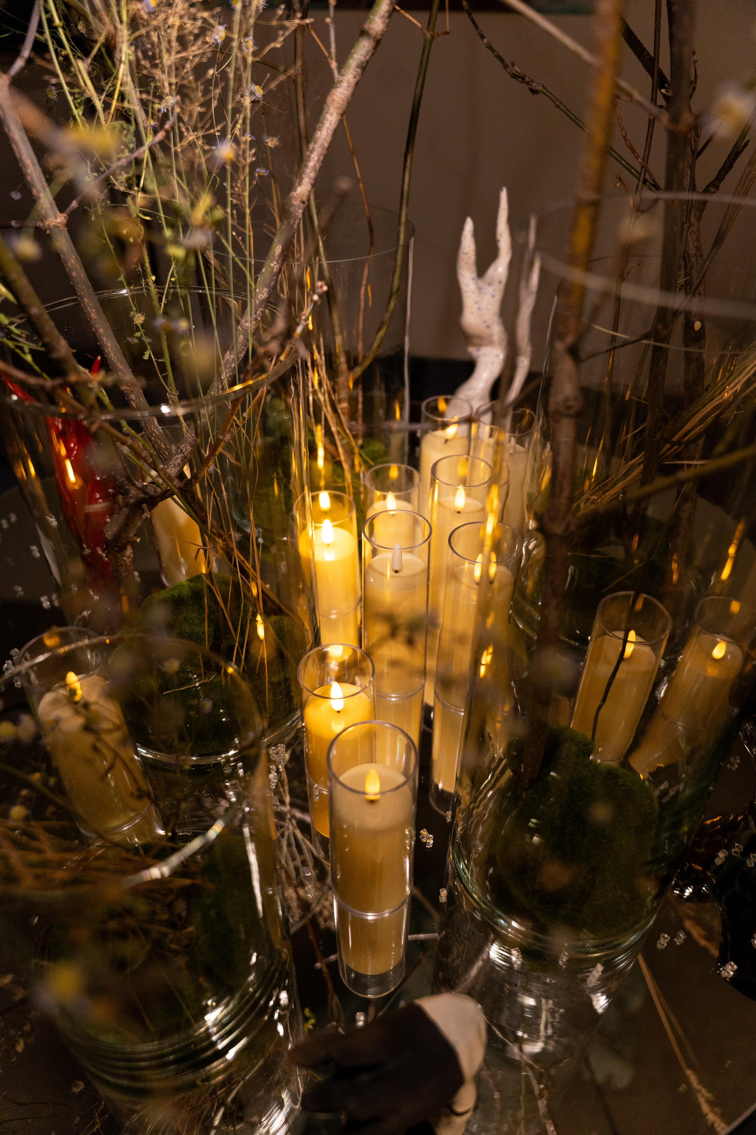 ЛЕС Авторский проект Юлии Якубович 04.11.2025. Портретный и репортажный фотограф в Москве Разуменко Роман