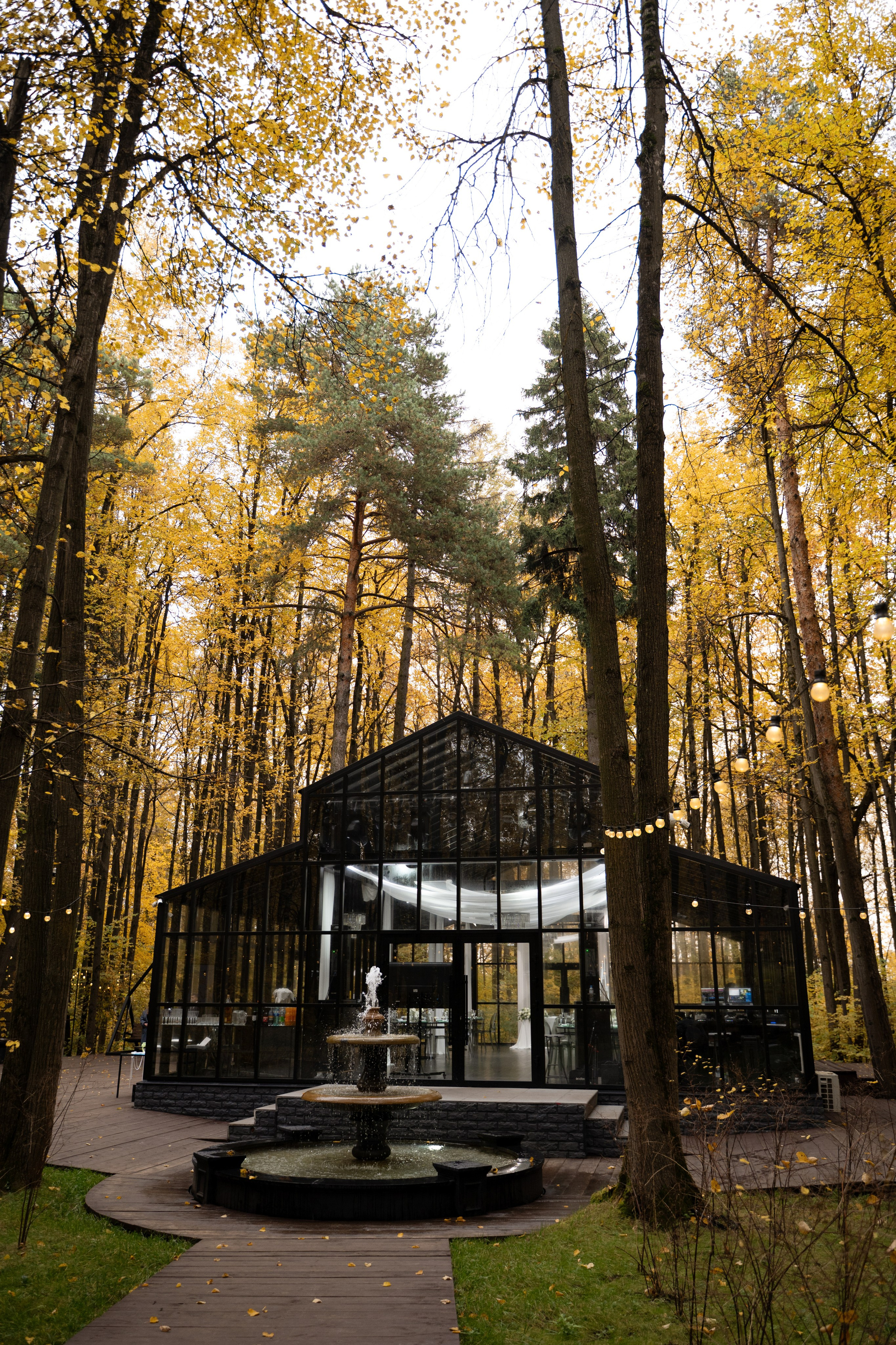 Давид и Екатерина. Свадебный фотограф Тула