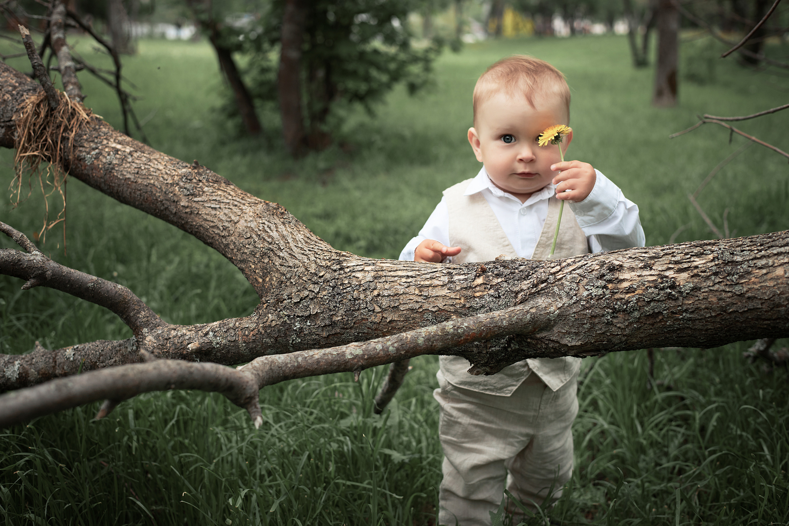 Альбом 2. Фотограф Южно-Сахалинска