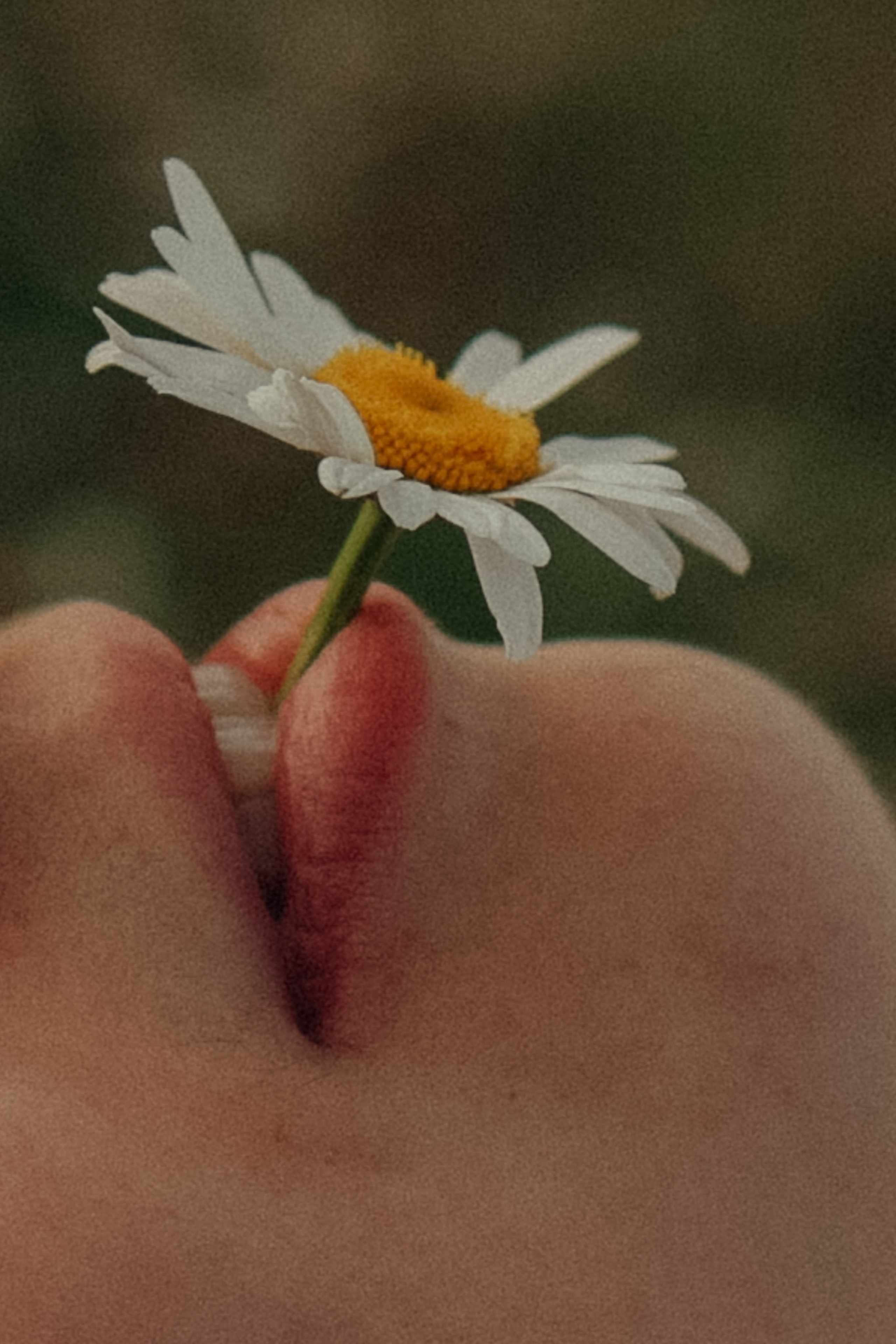 Фото путешествия по Нижегородской области. Фотограф и видеограф Елена Лисина