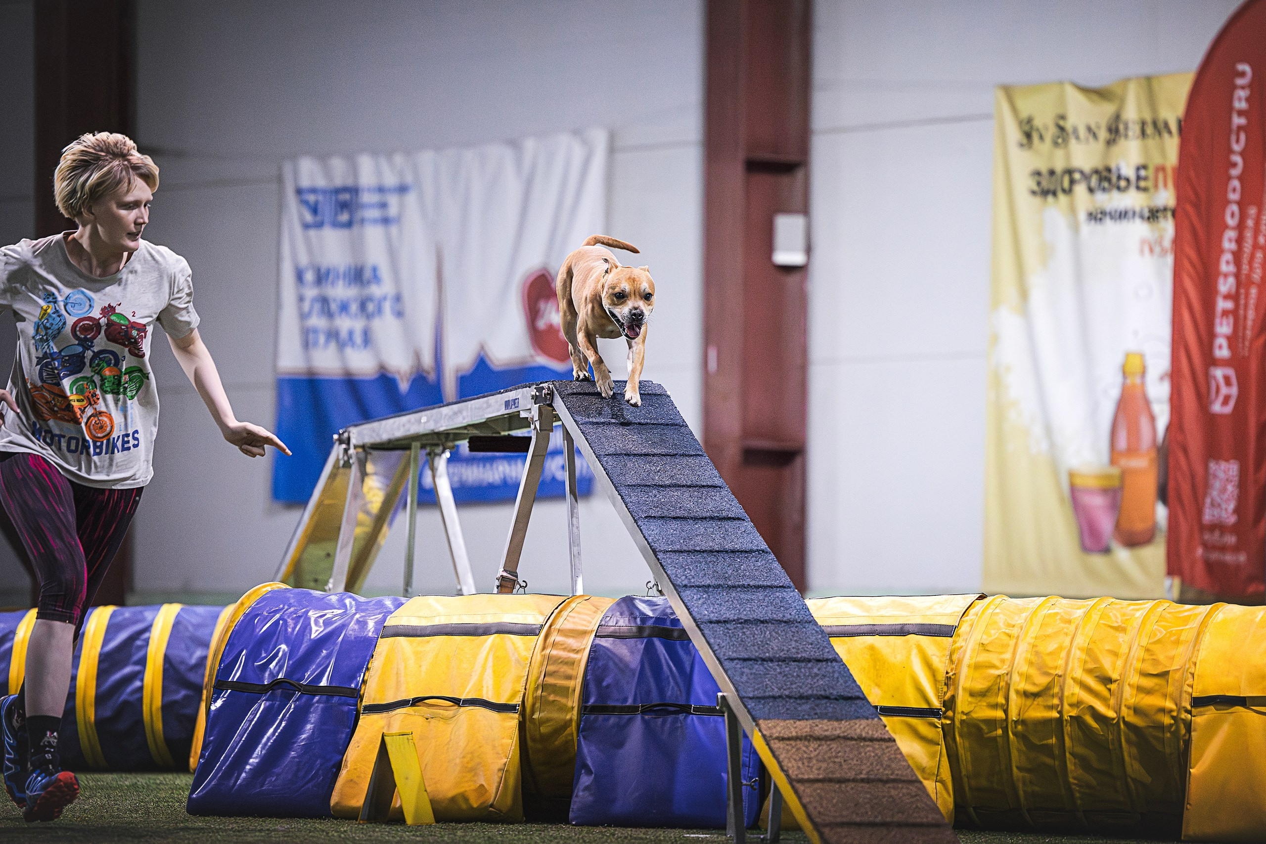 Шмель. BLGKV питомник собак