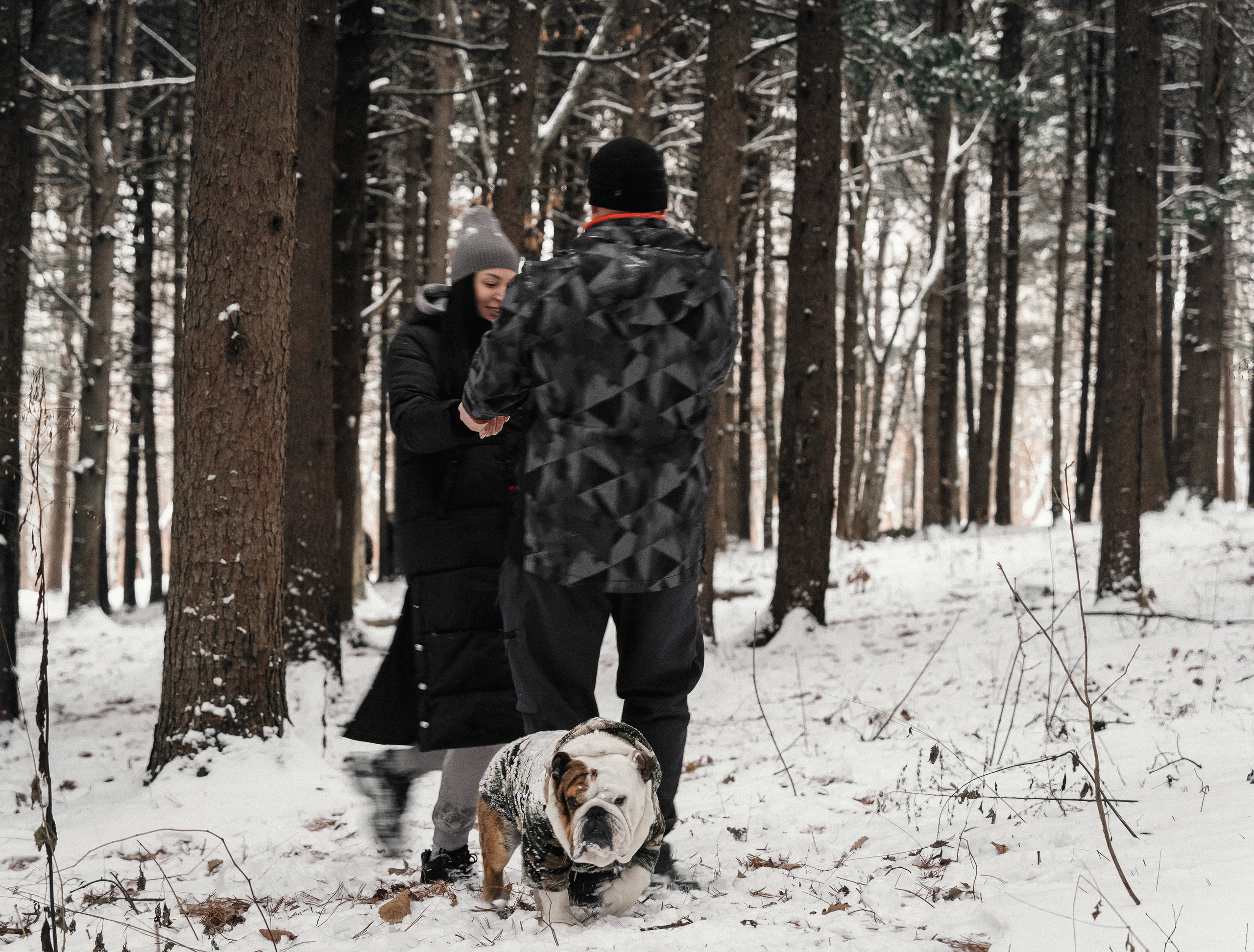 Зимняя история. Семейный фотограф анималист г. Находка