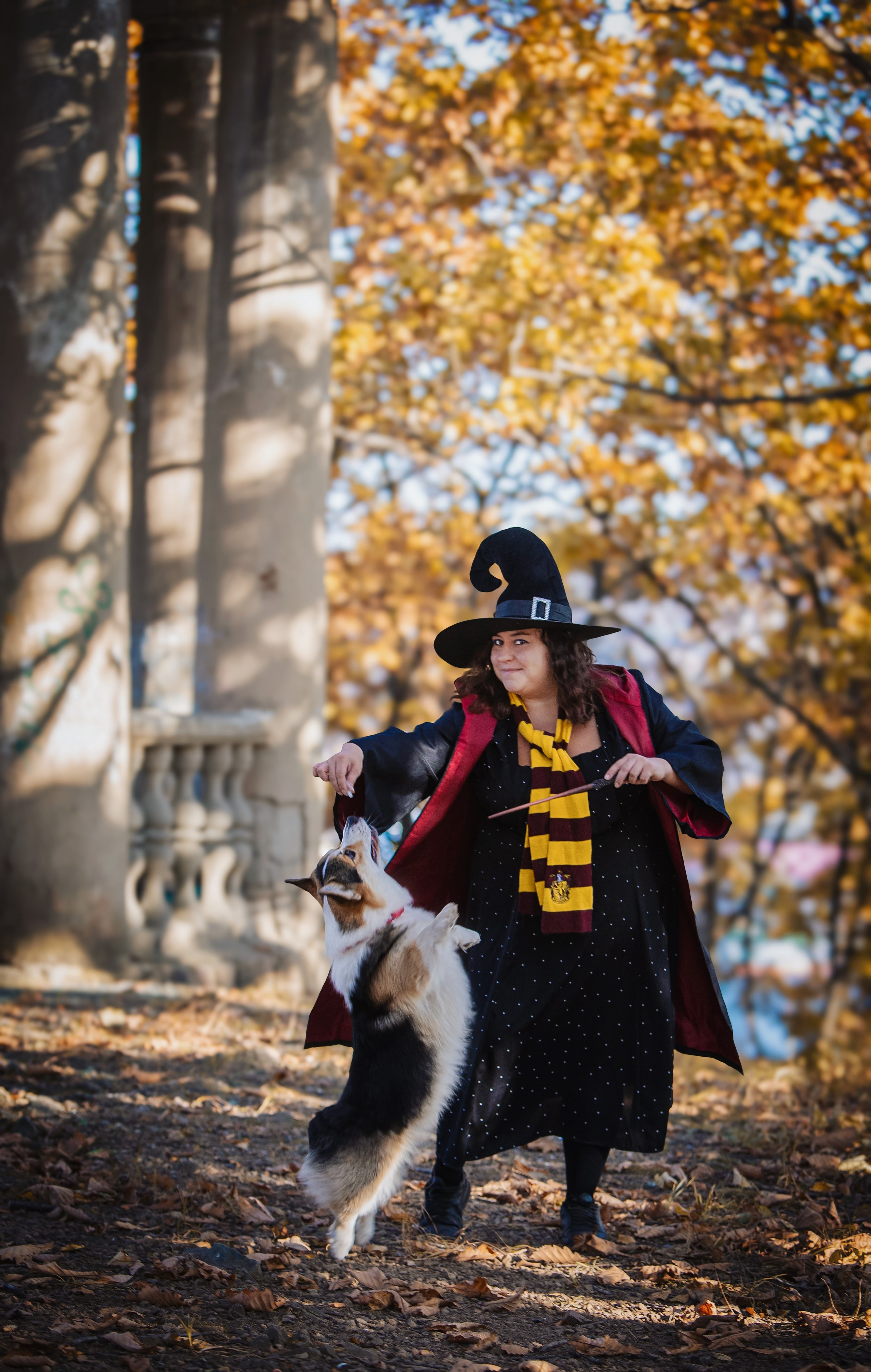 Хэллоуин. Семейный фотограф анималист г. Находка