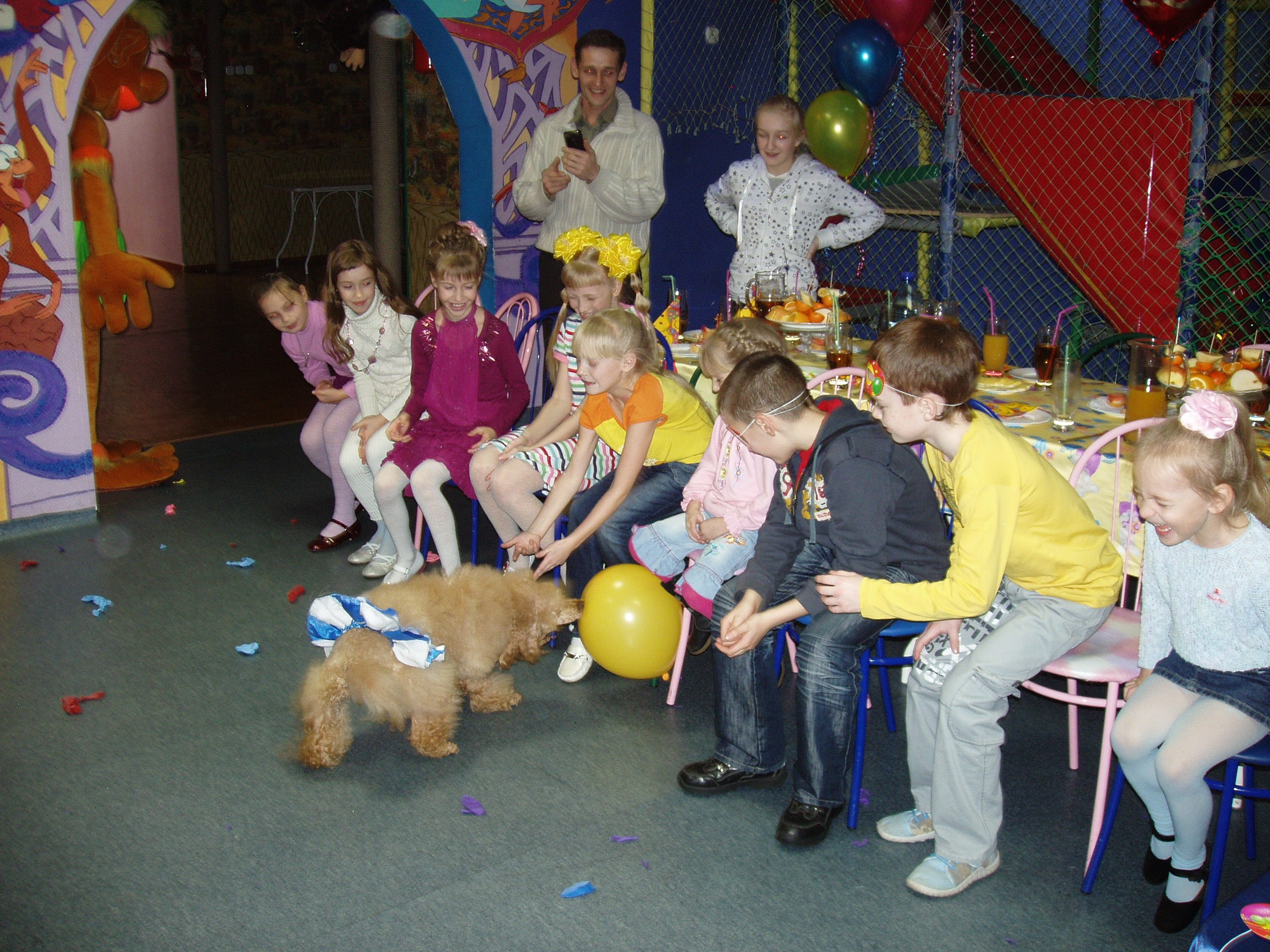 Катя ДР 10 лет Василек 05.12.2009. Семейный, Свадебный фотограф СПБ Питер— Романова Екатерина