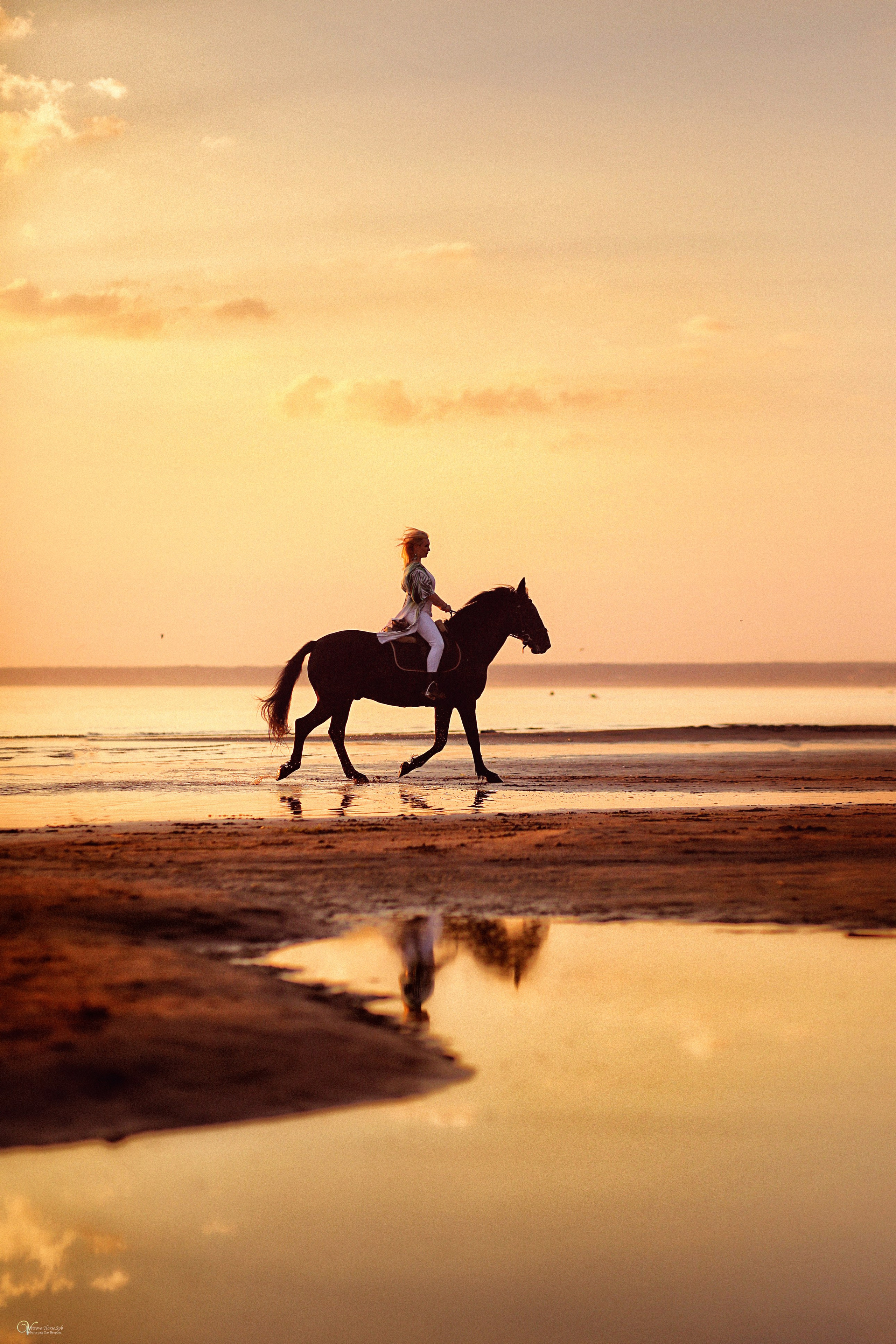 Съемка с лошадьми на закате, Фотосессия с лошадьми на заливе, верхом на лошади по берегу моря, лошадь на заливе