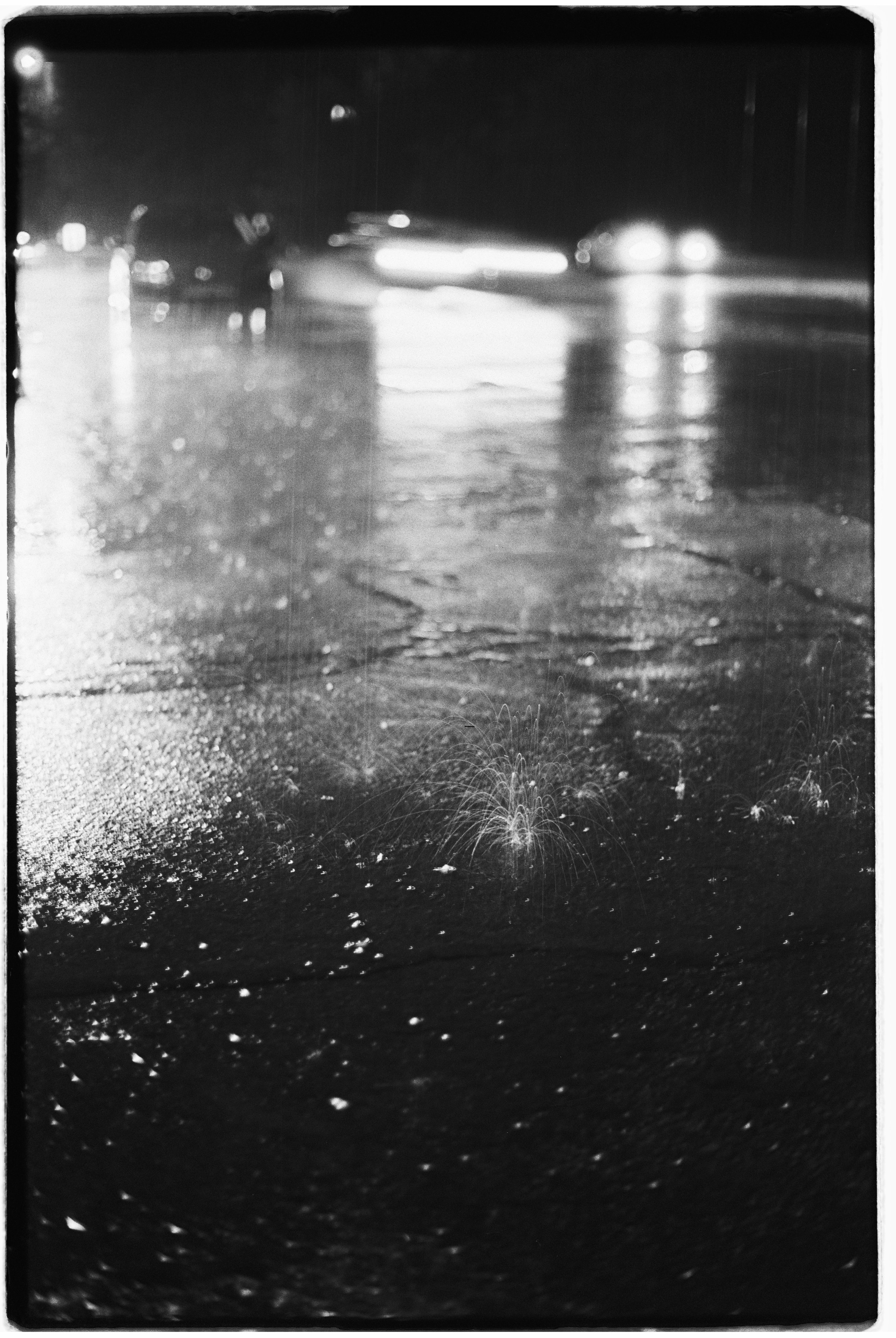 Almaty. Philipp Yelistratov