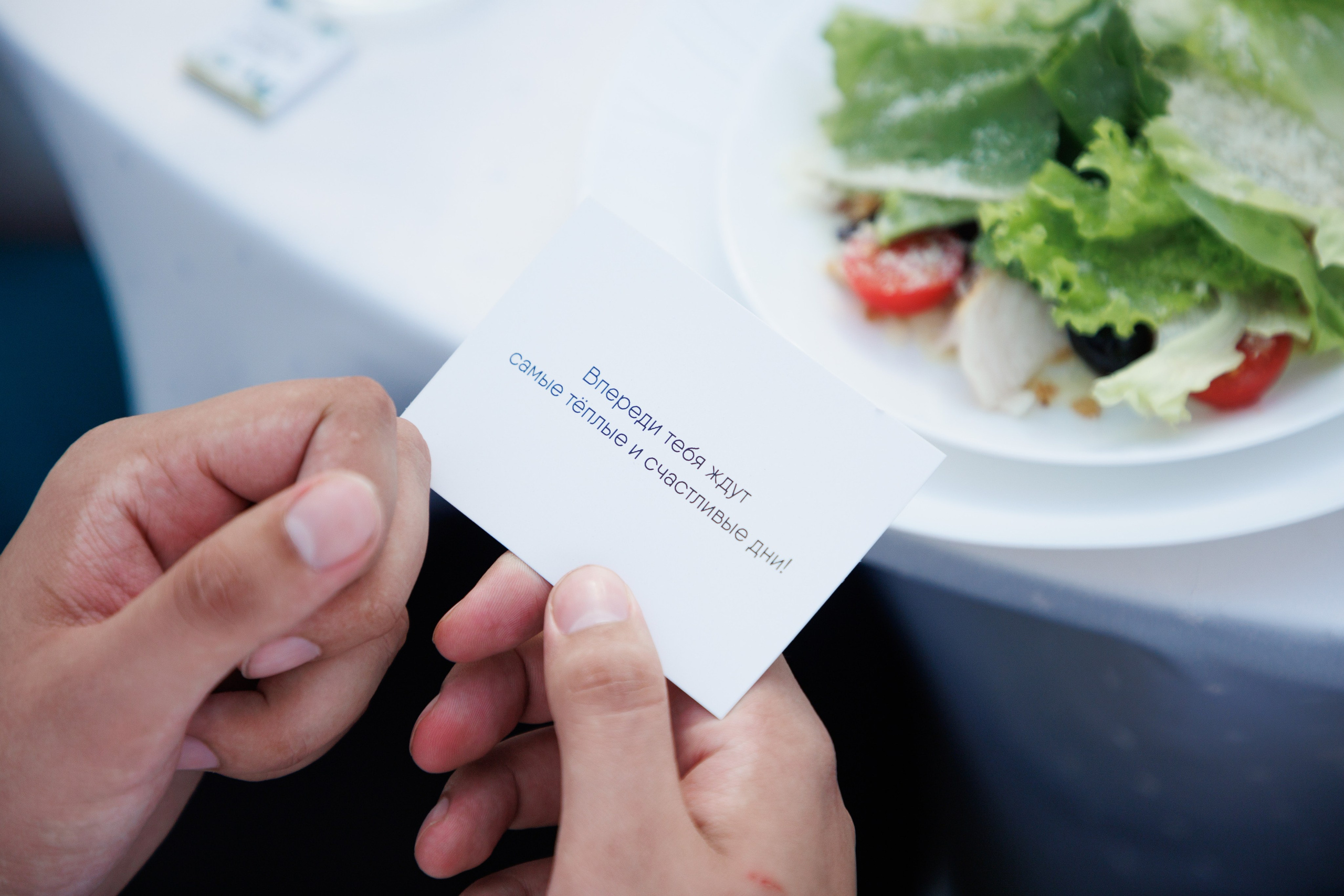 Сентябрь 2025, Белый лис, Выкса. Фотограф городских и семейных событий в Нижнем Новгороде Артем Карпухин