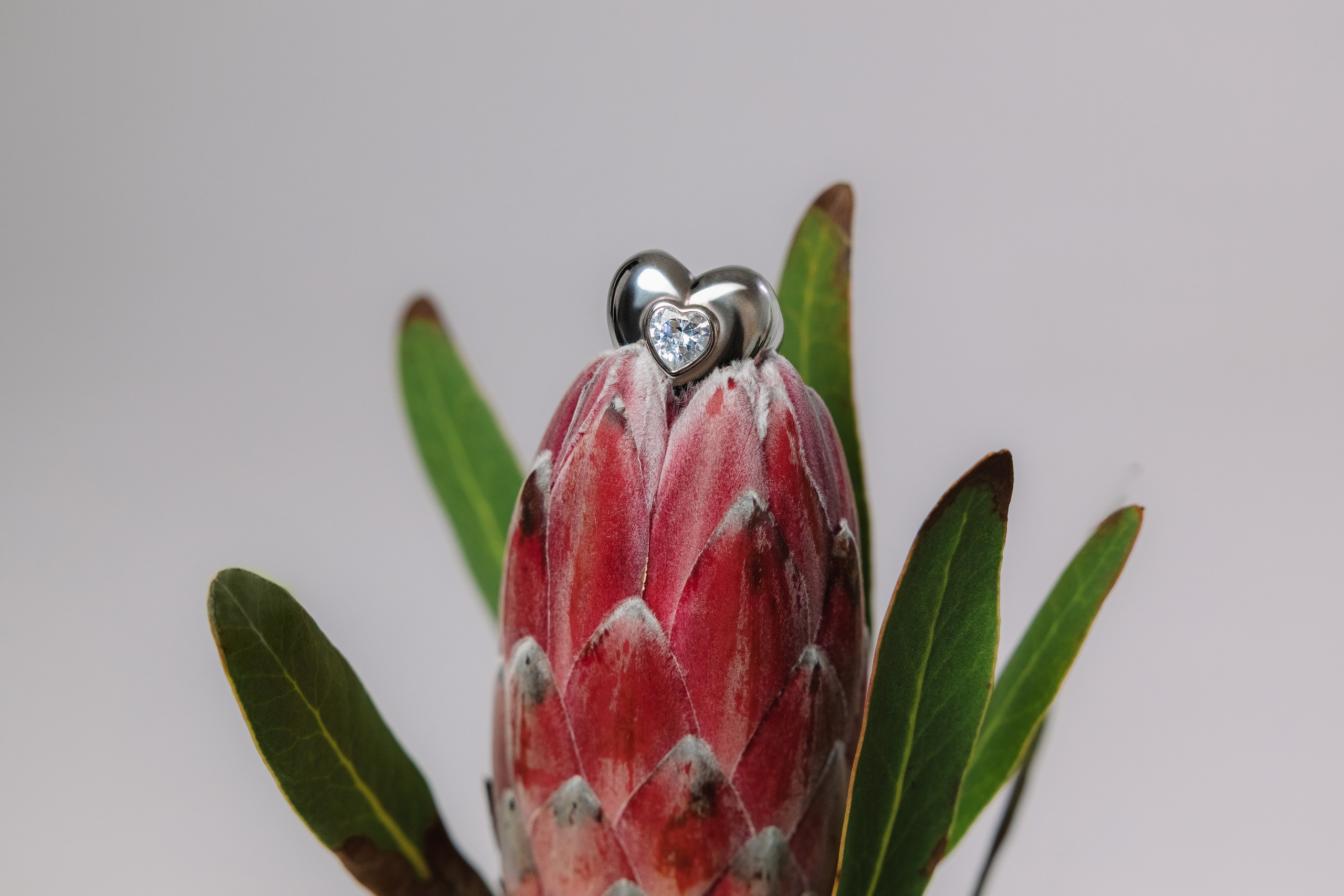 Poison Drop. Продюсер фото и видео съемок под ключ Москва