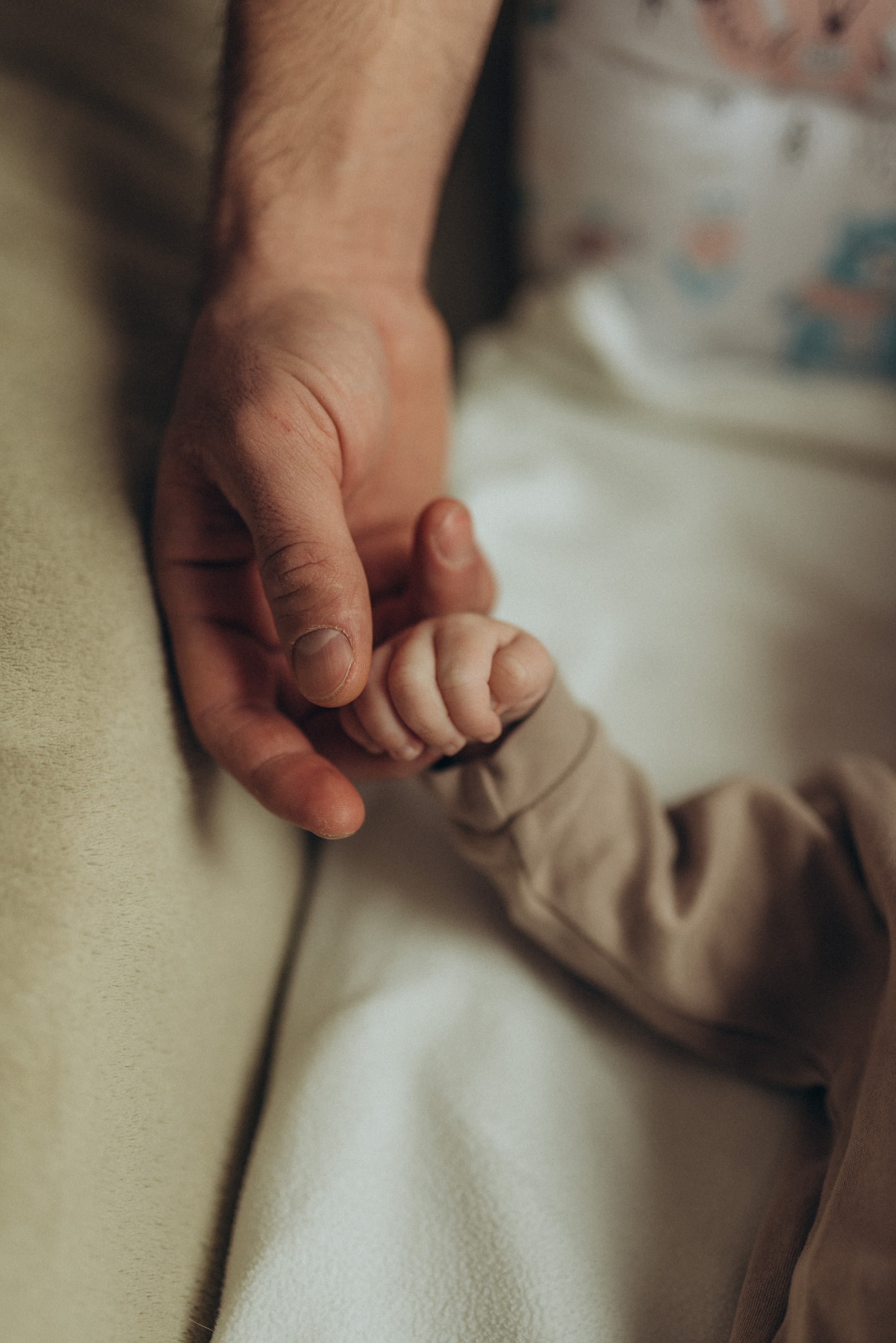 Всеволод. Семейный фотограф в Москве Екатерина Север