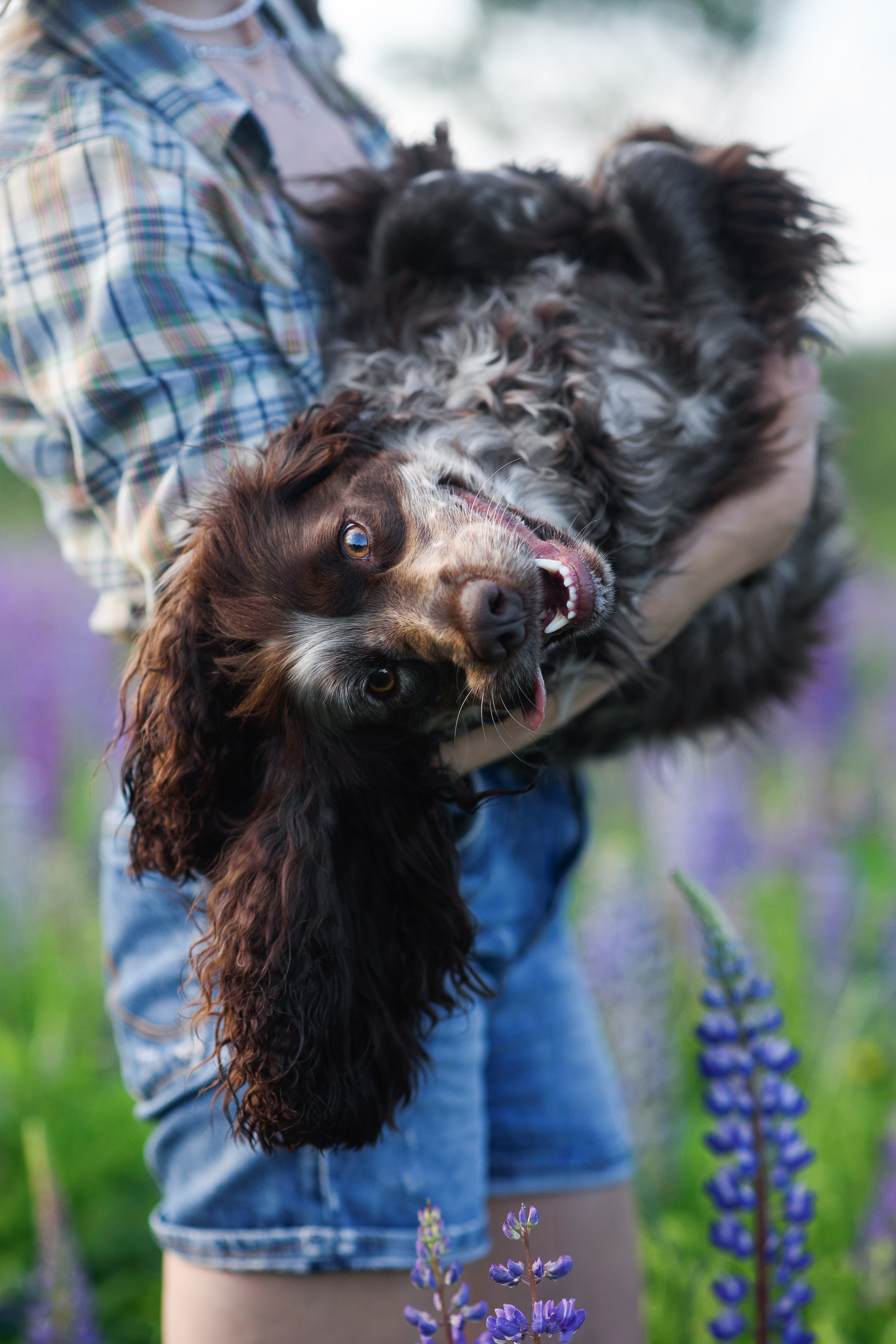 Света и Рей — 09.06.2024. Фотограф — Анималист | Анна Абрамова