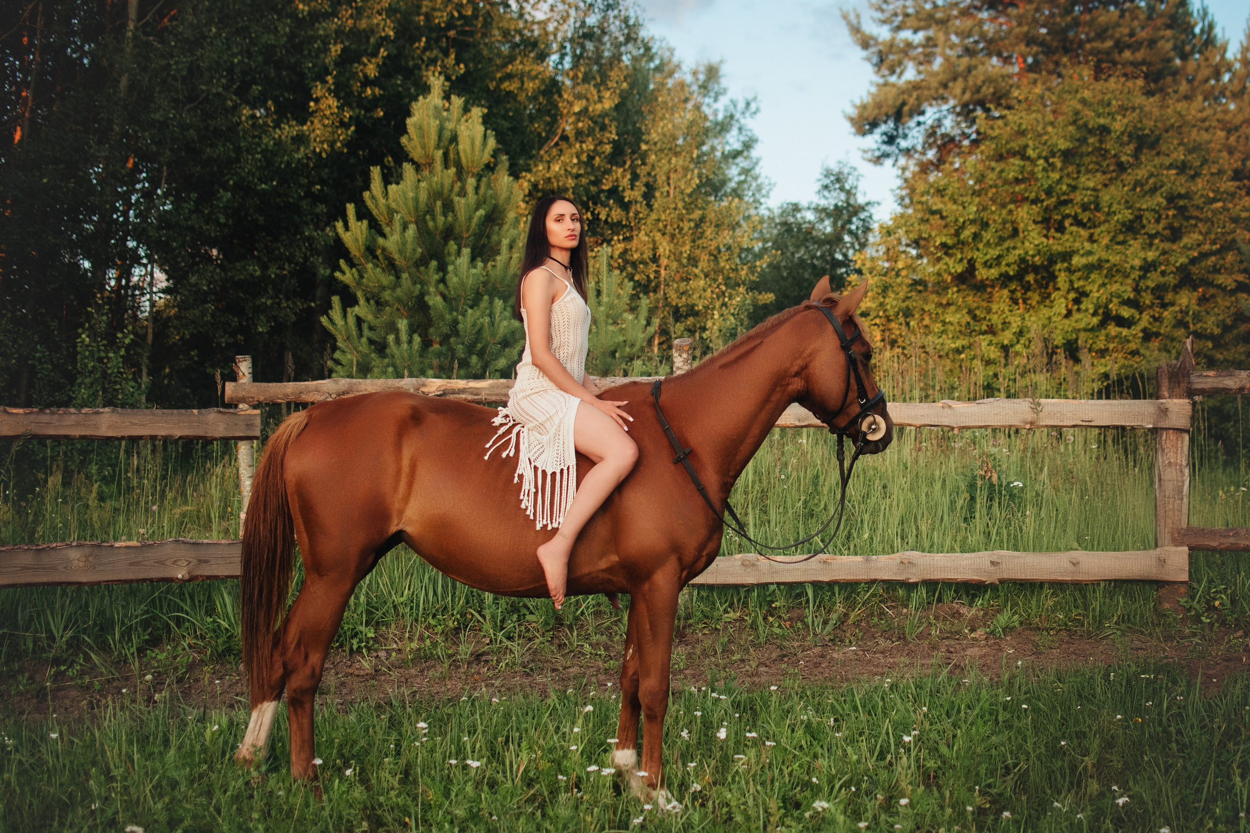 Ксюша и Майя — 05.07.2025. Фотограф — Анималист | Анна Абрамова