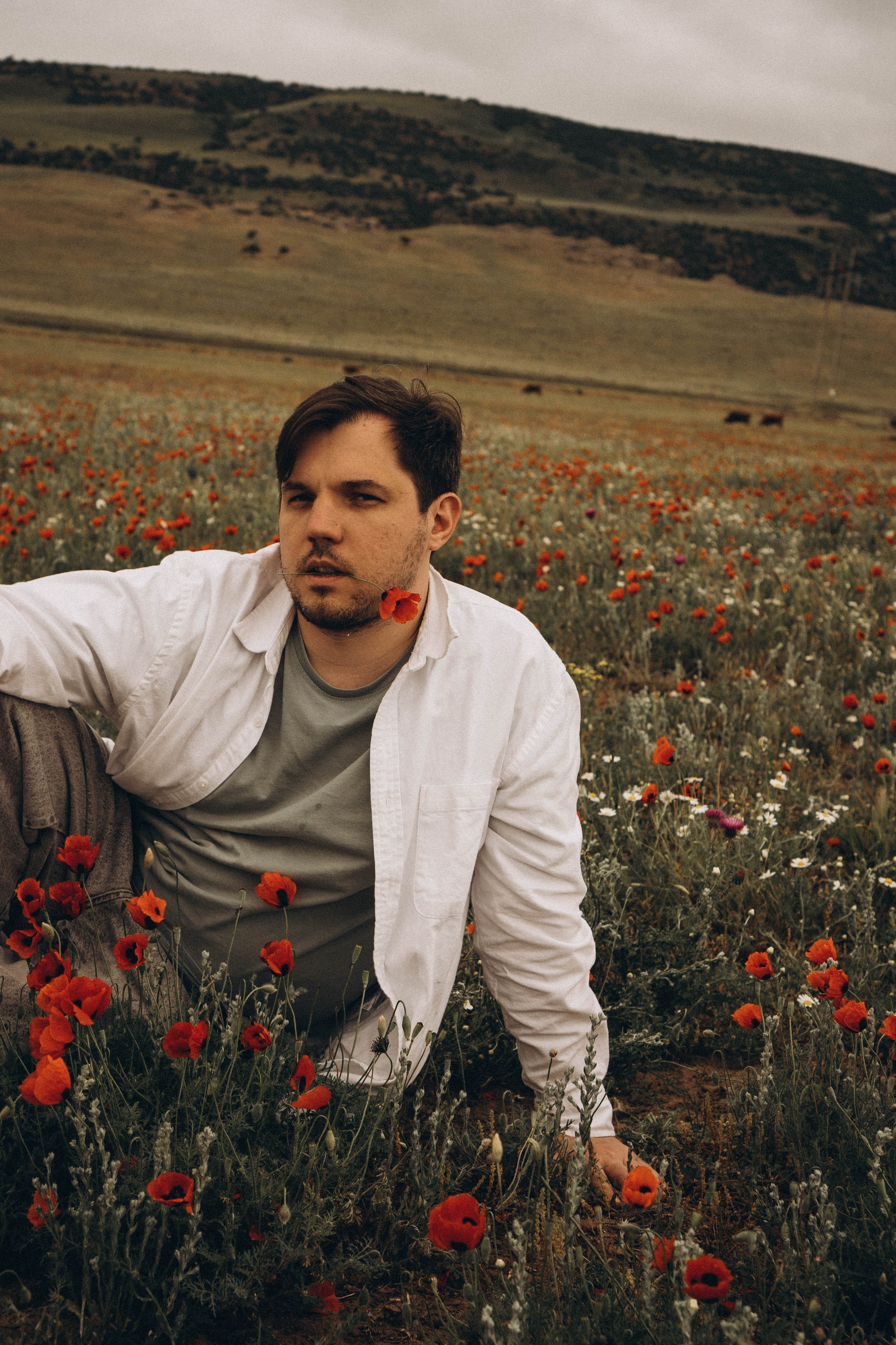 Маки. Профессиональный фотограф, Санкт-Петербург — Виктория Богомолова