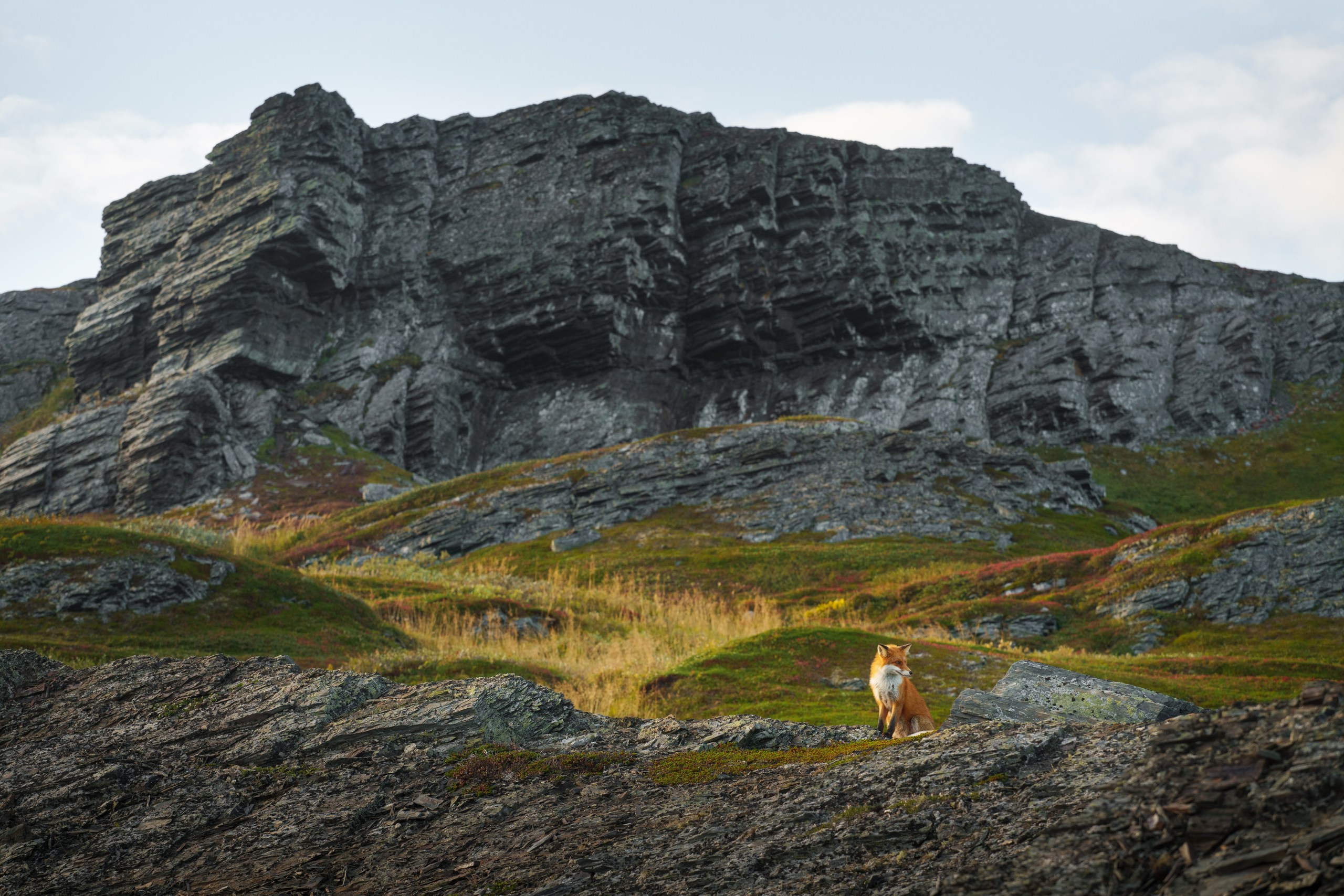 Кольский. Карелия. Фотограф в Красноярске Нерозя Александр. Пейзаж, природа, портрет