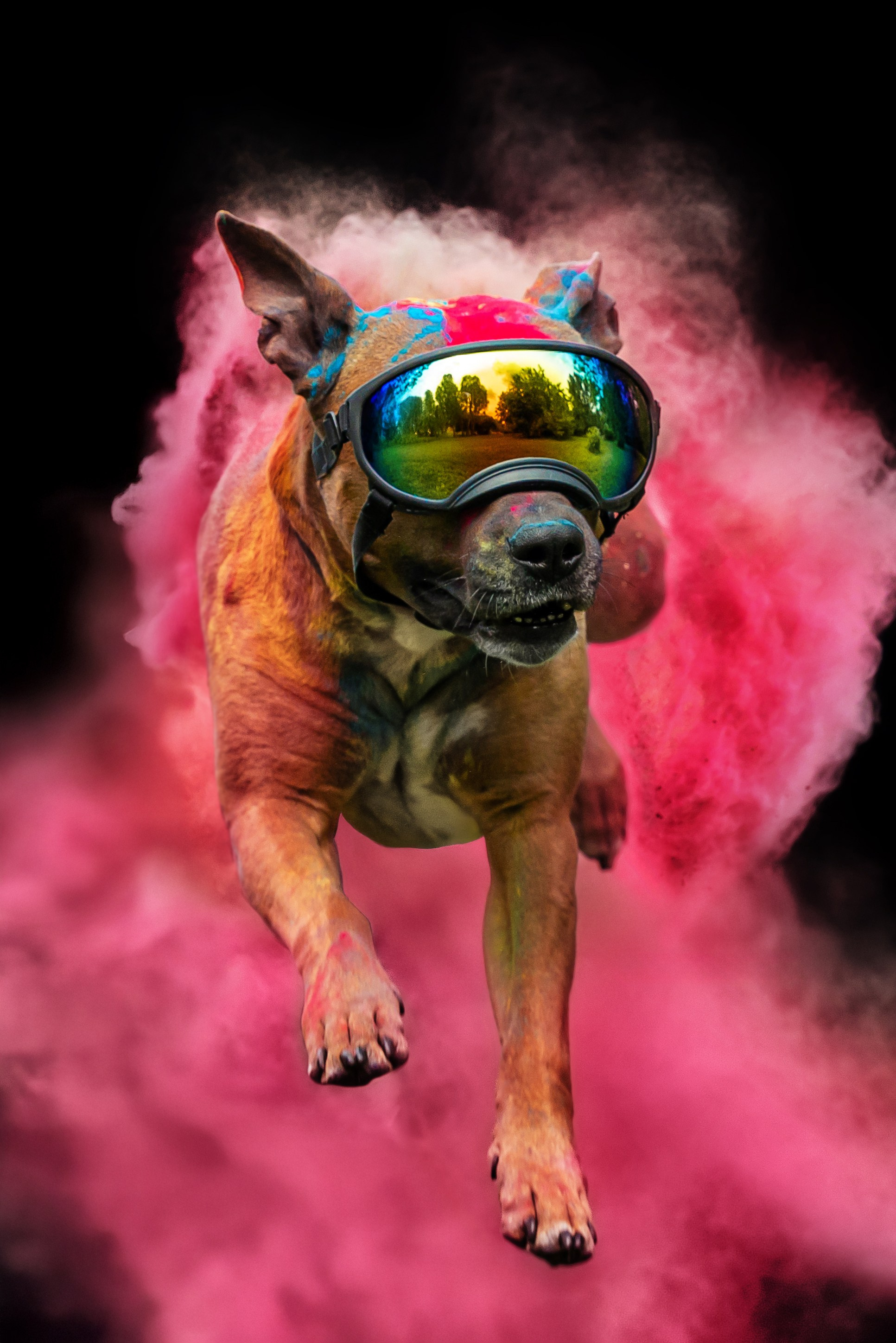 Батлер и Кэти