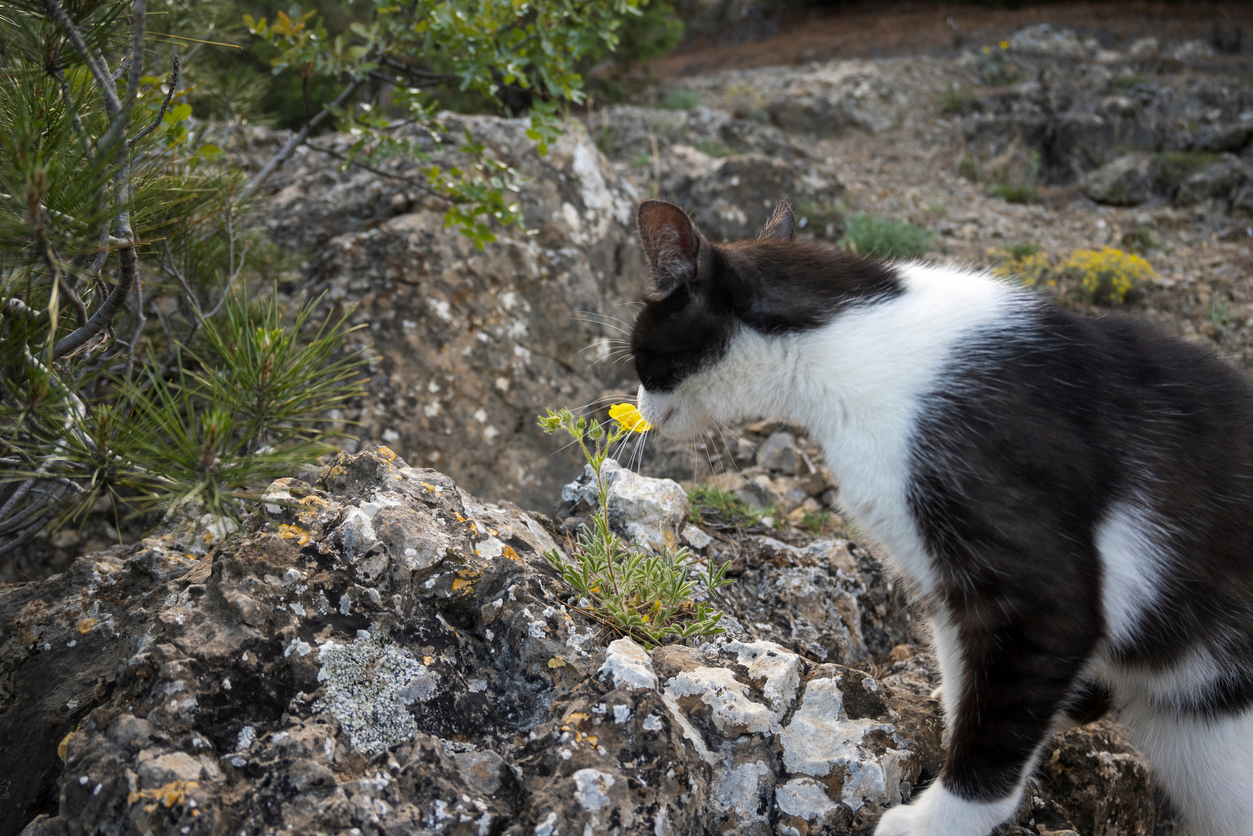 Крым май 2022. Фотограф Роман Адлер