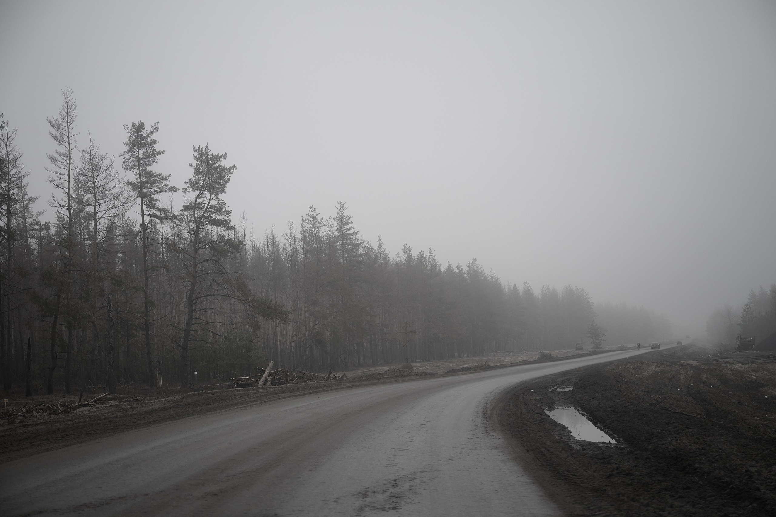 Дорога домой. Туман. Фотограф Роман Адлер