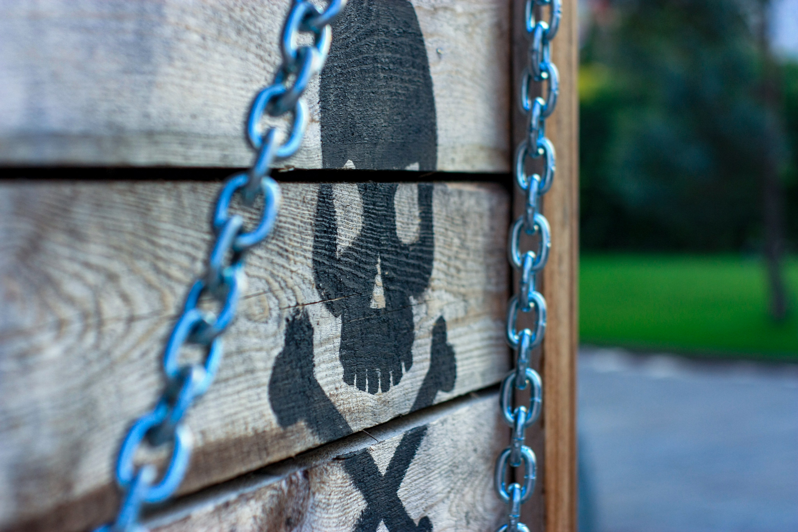 Первые кадры. Сочи — парк. Фотограф Роман Адлер