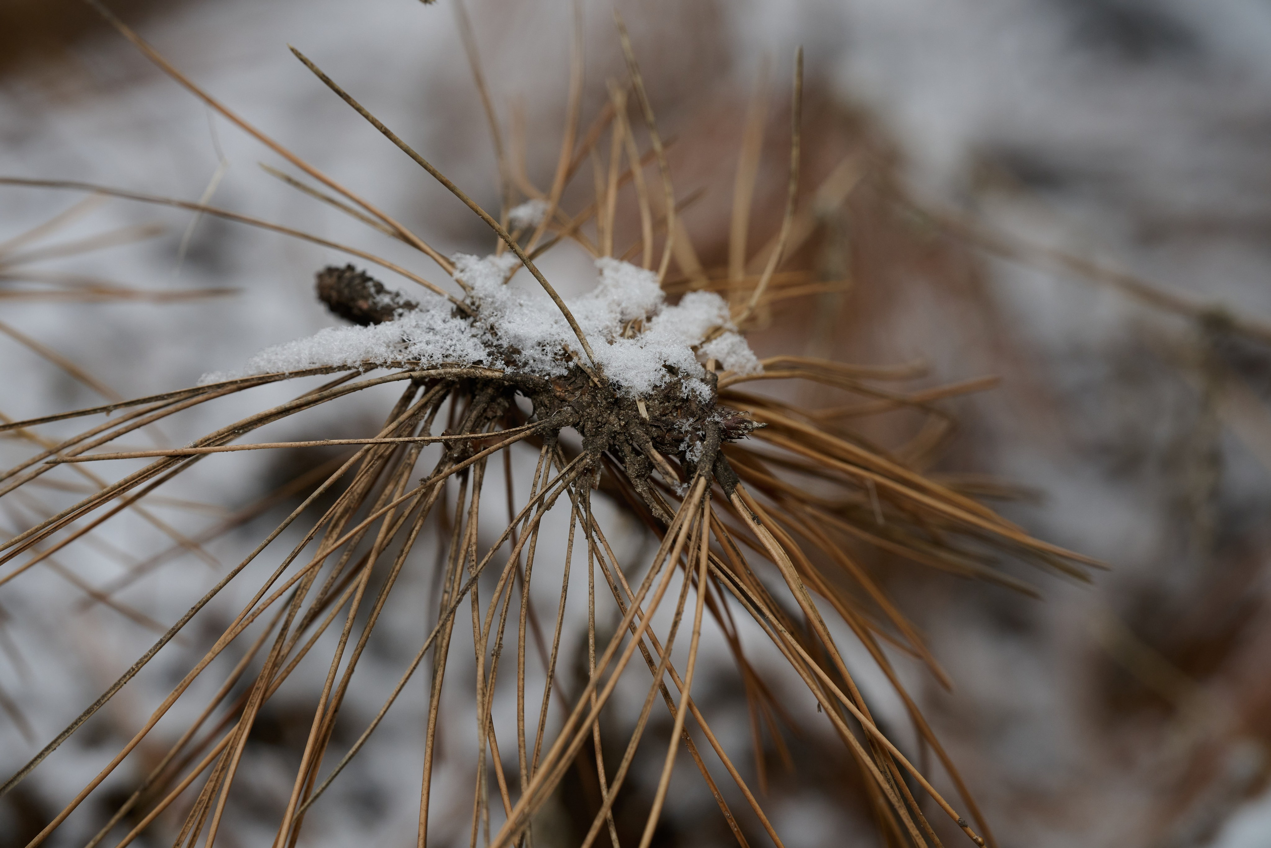 Будни съёмок фотопроекта Территории. Фотограф Роман Адлер