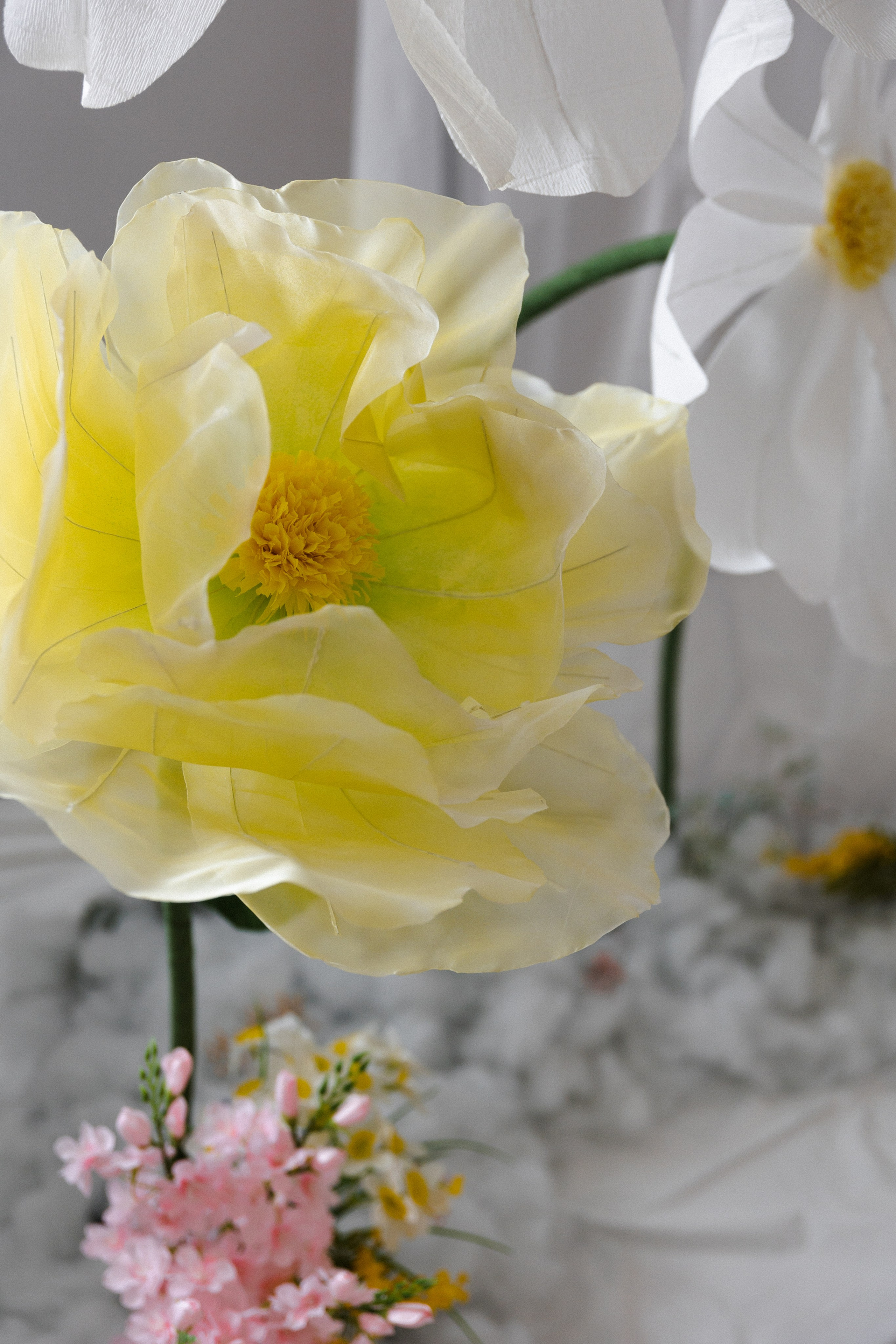 Даниял и Даяна. Фотограф Тюмень Пушковская Кристина