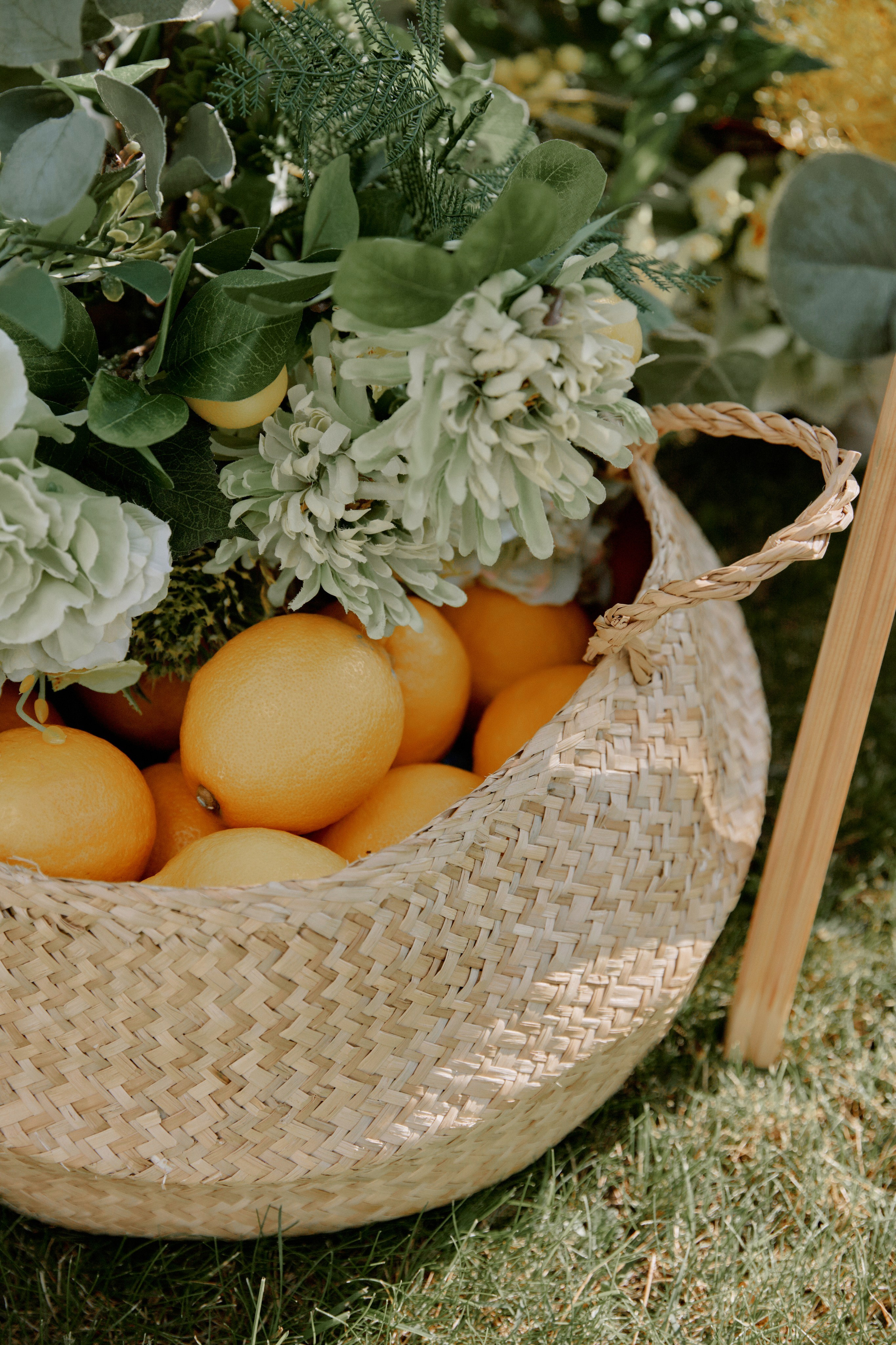 Мамма Мia!. Фотограф Елена Краснопевцева