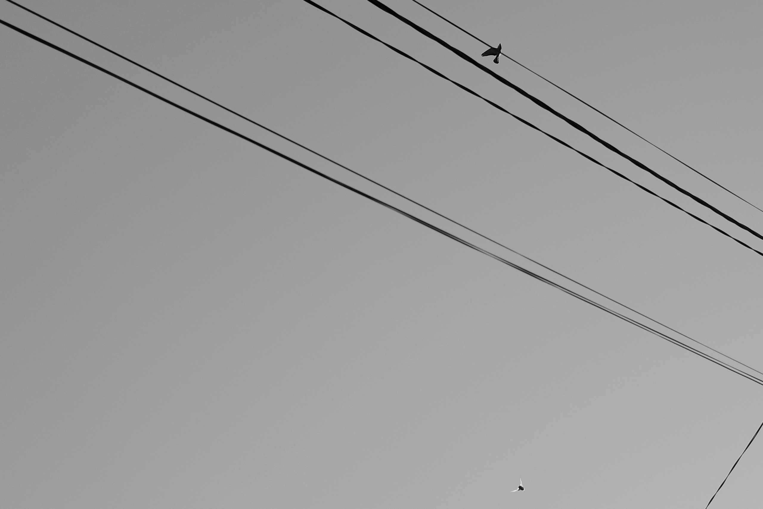 — 2025. Фотограф Злата Спицына