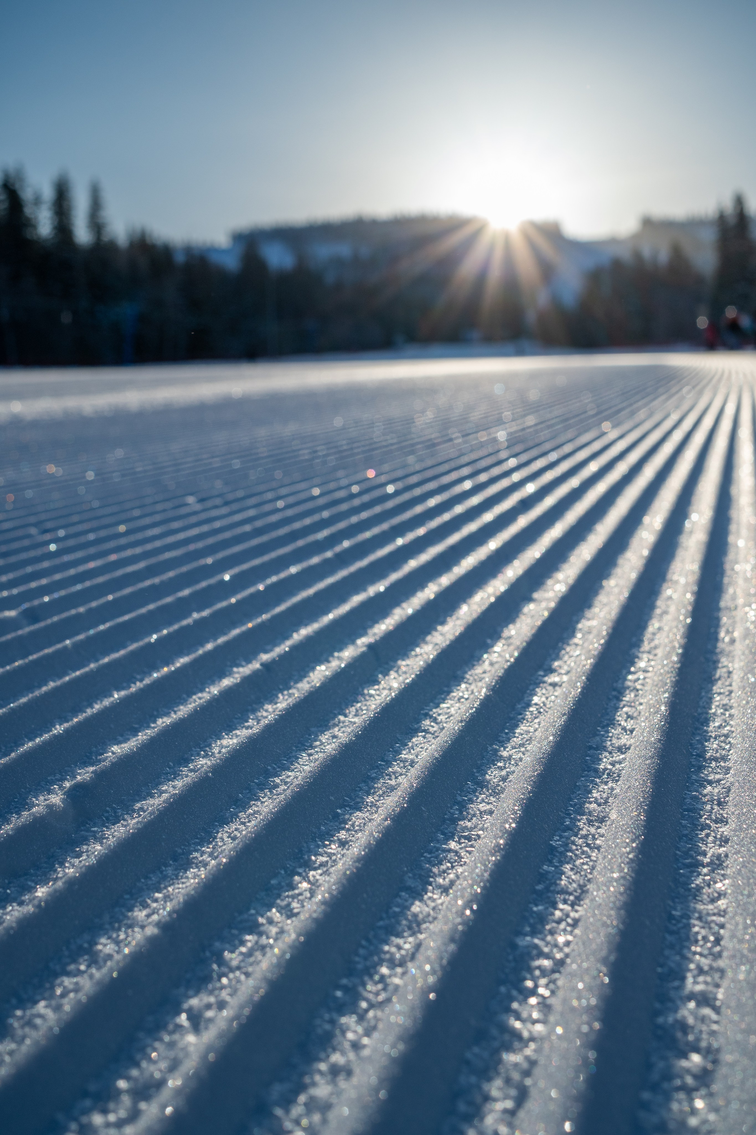 Репортаж/Портреты. …