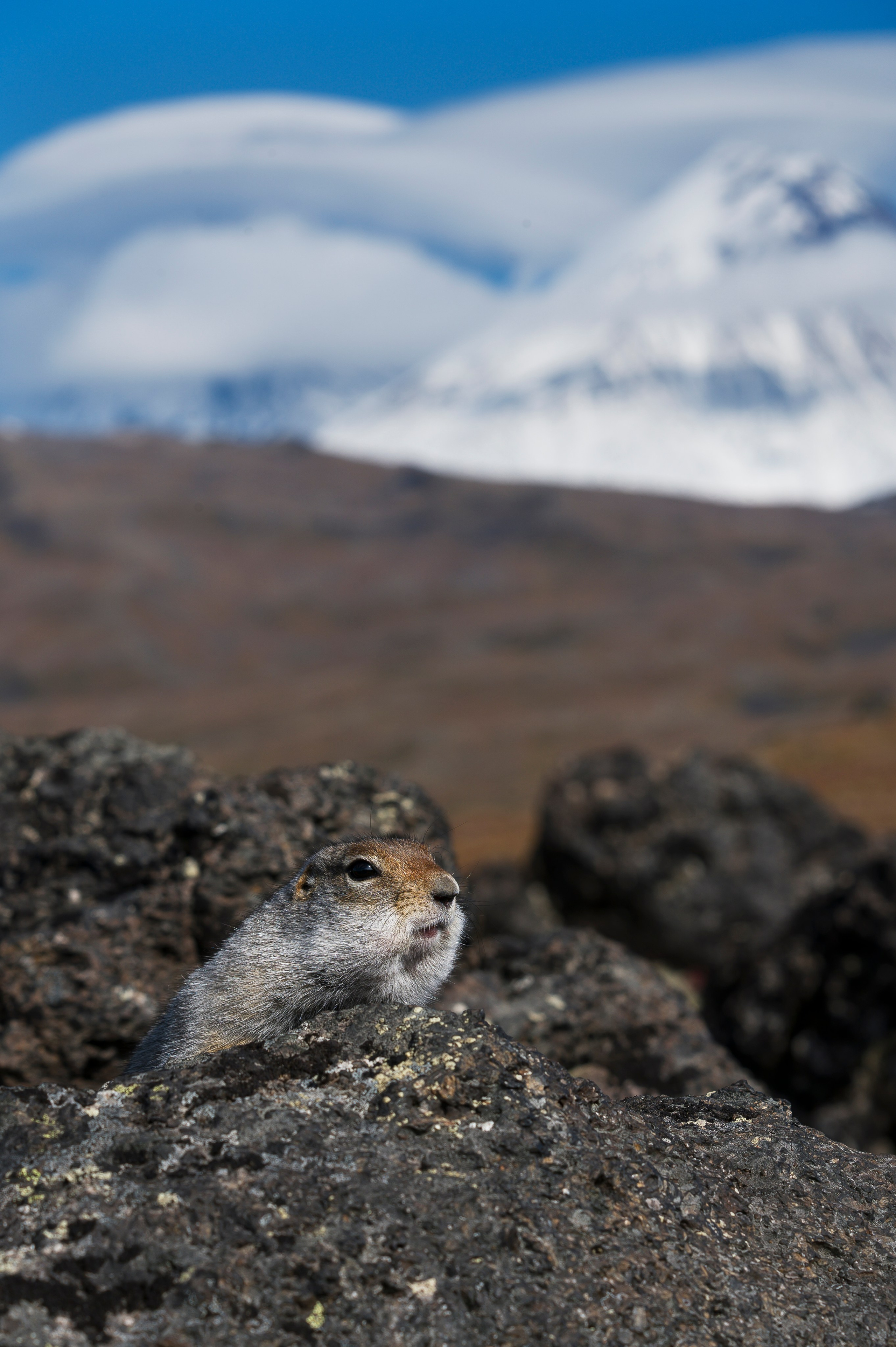 Камчатка. Портретный фотограф в Челябинске Катерина Руди
