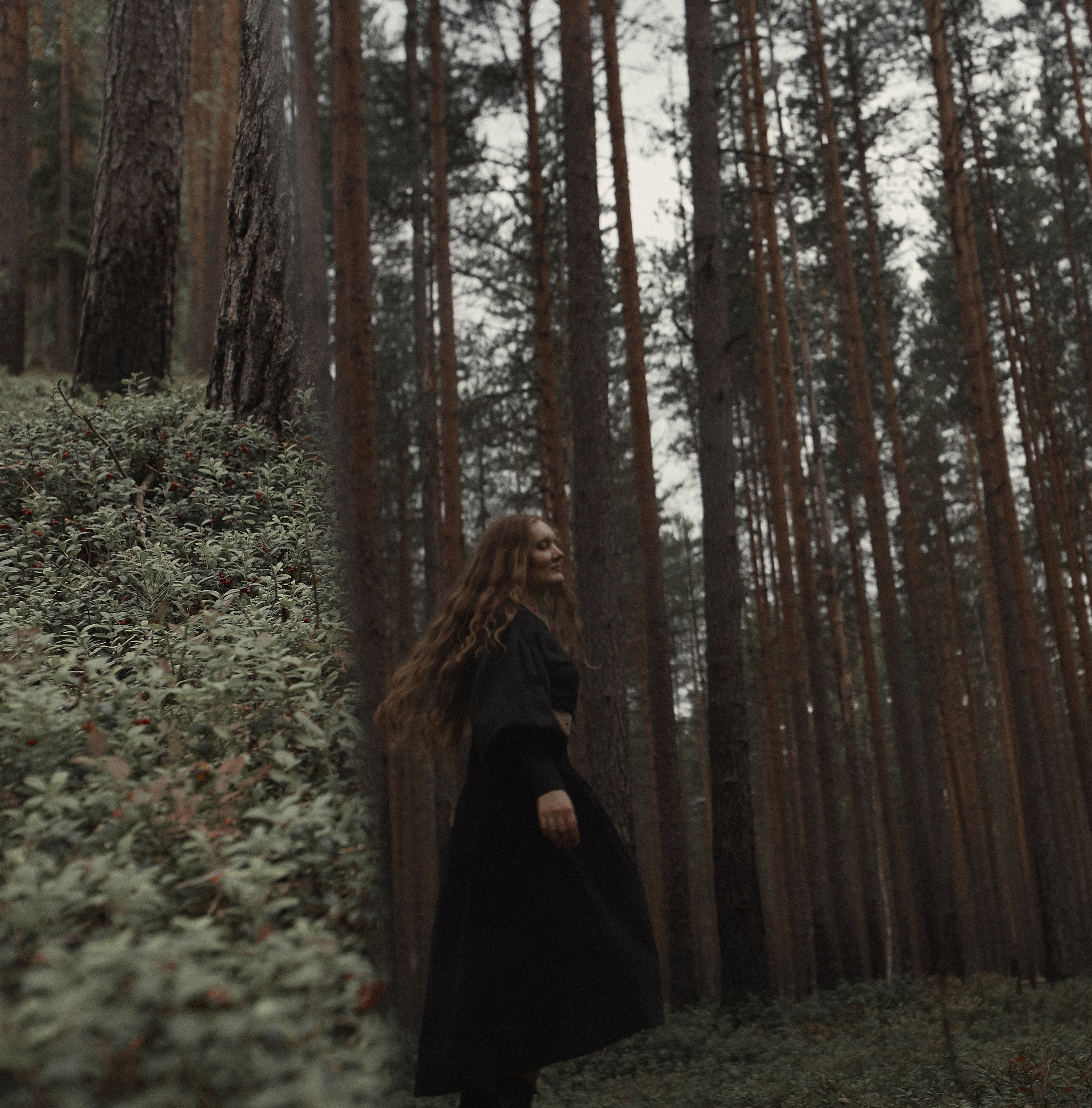 Sofy IN Forest for Southern Cold. Фотограф Анастасия Федорова  Санкт-Петербург
