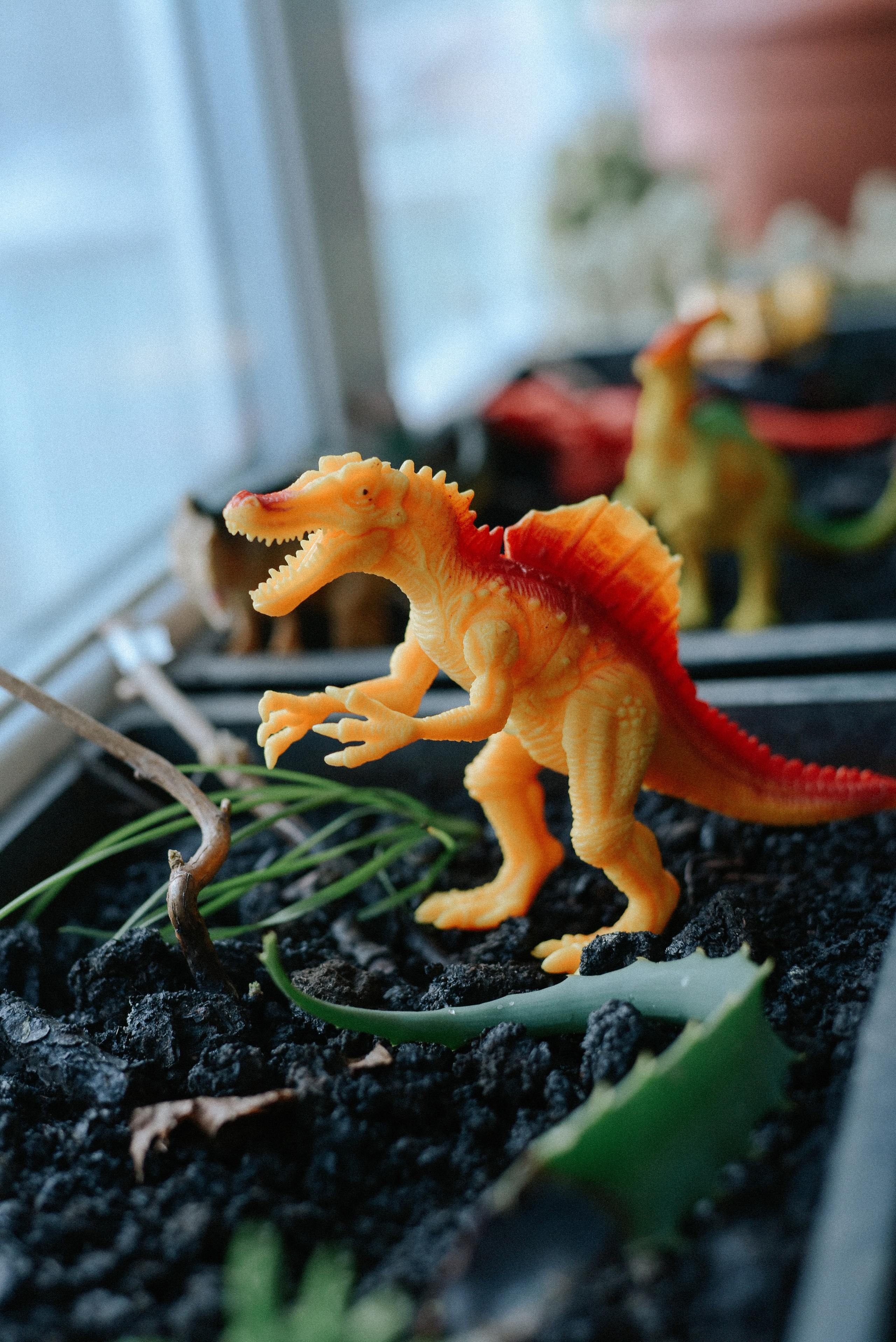 Один сказочный дом. Детский и семейный фотограф в Новосибирске Саша Дорошенко