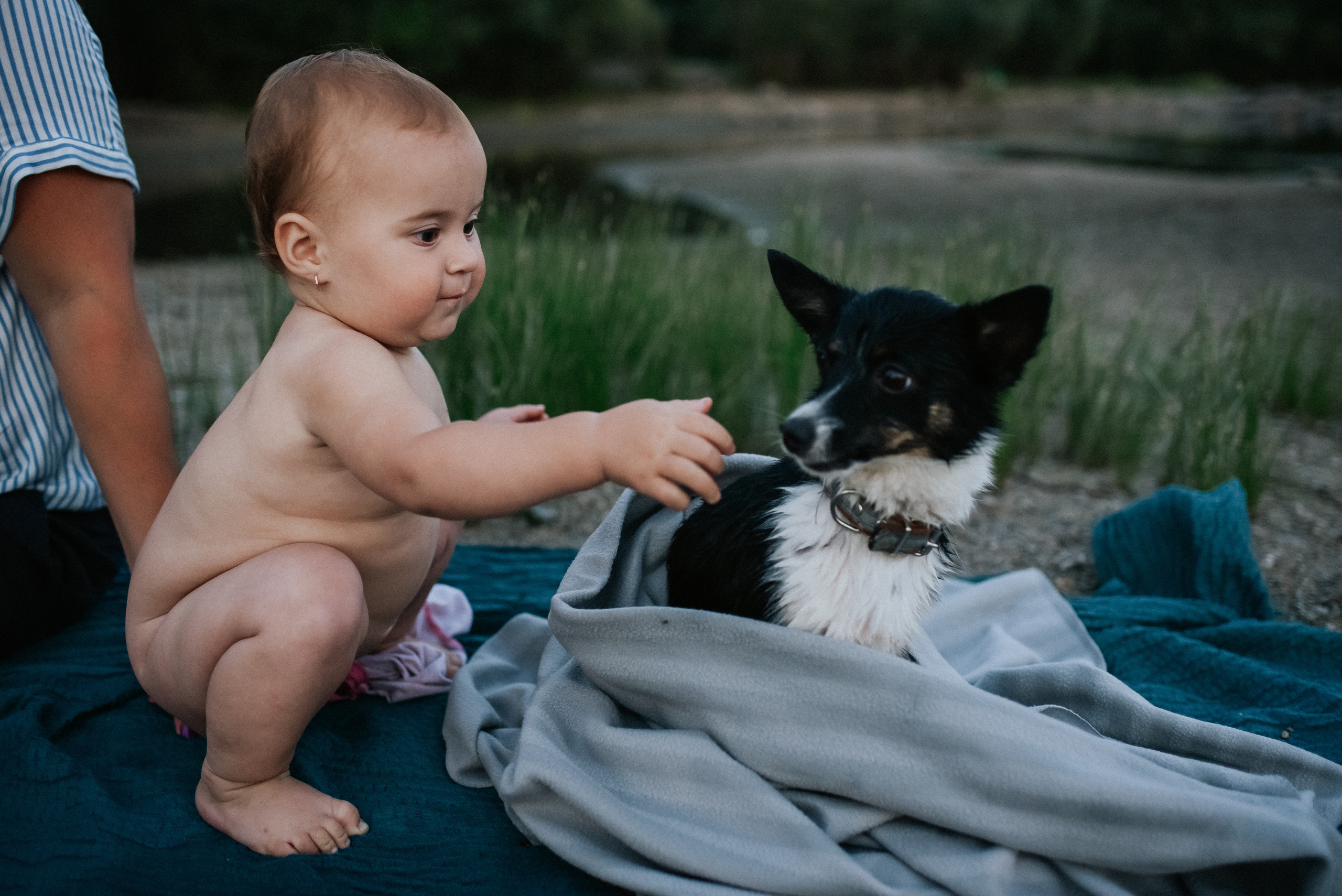 Карамельный закат. Детский и семейный фотограф в Новосибирске Саша Дорошенко