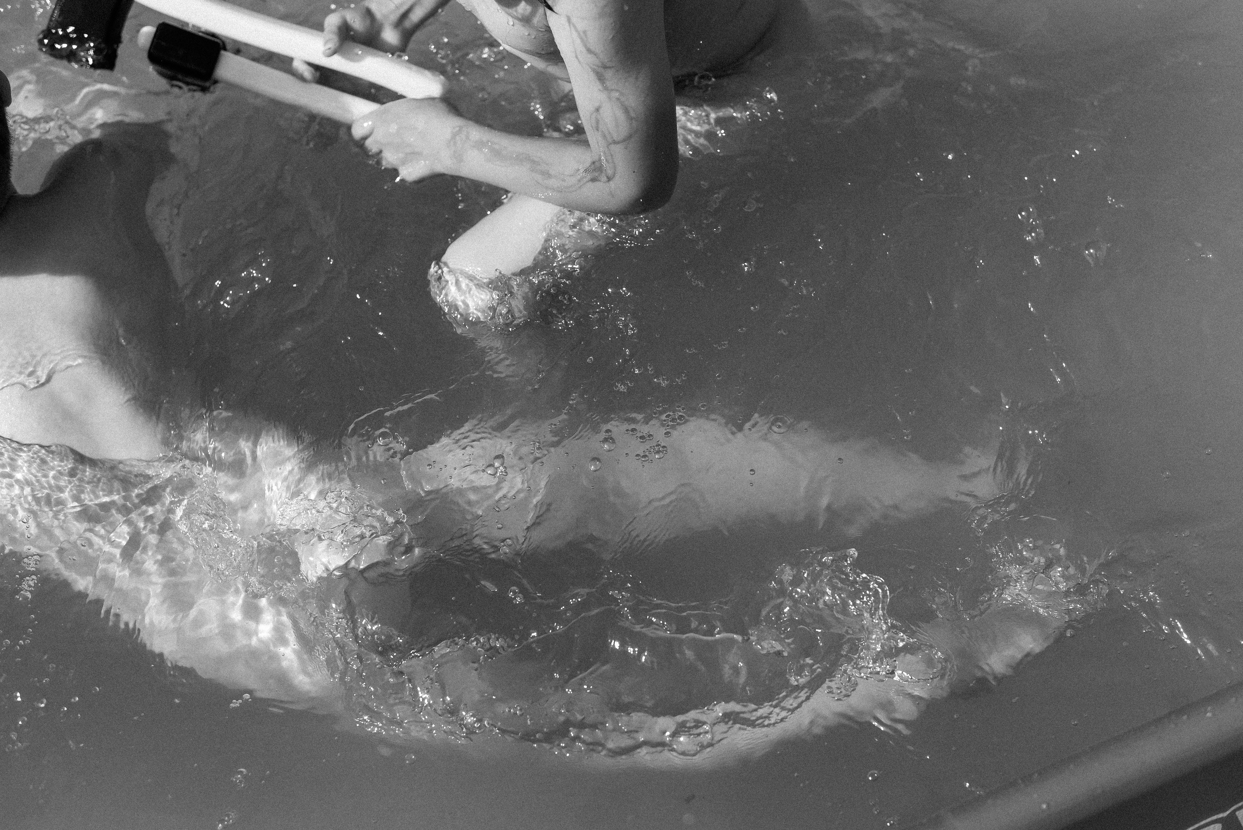 Алина и её рыцари. Детский и семейный фотограф в Новосибирске Саша Дорошенко